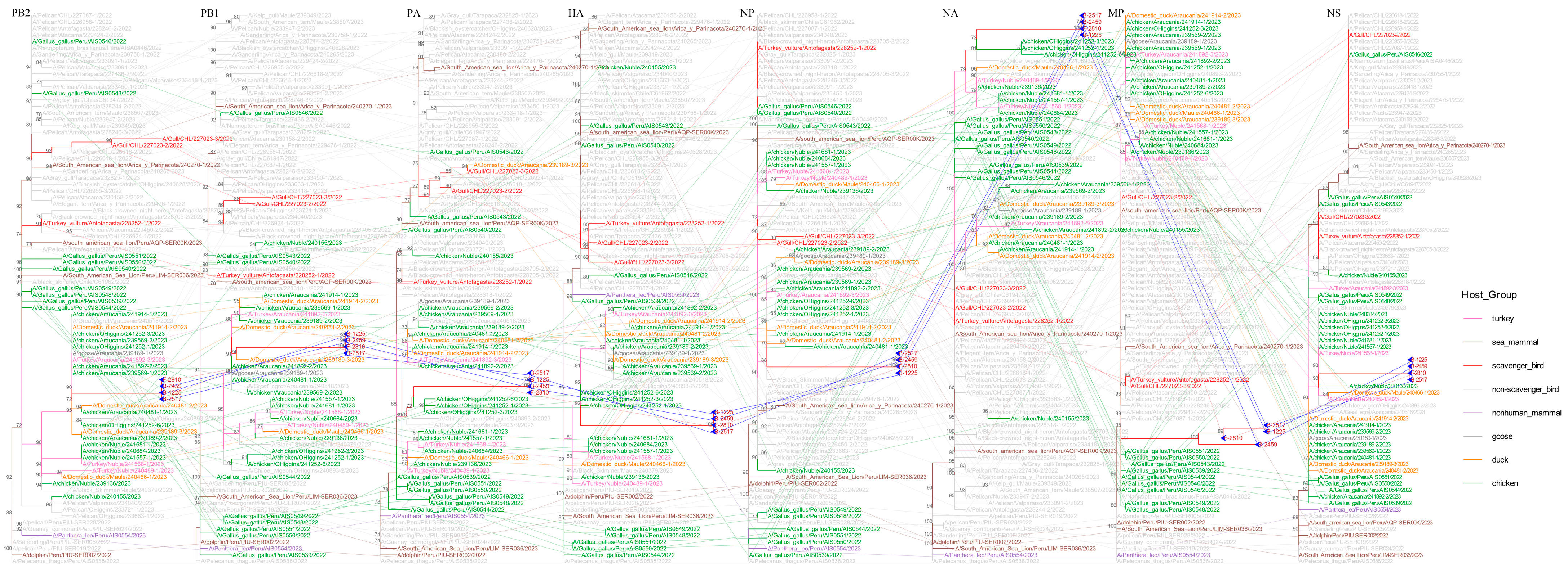 Viruses 17 01365 g002 Viruses 17 01365 g002