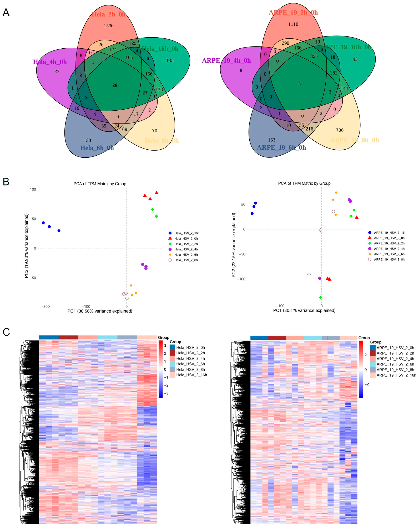 Viruses 17 01366 g002