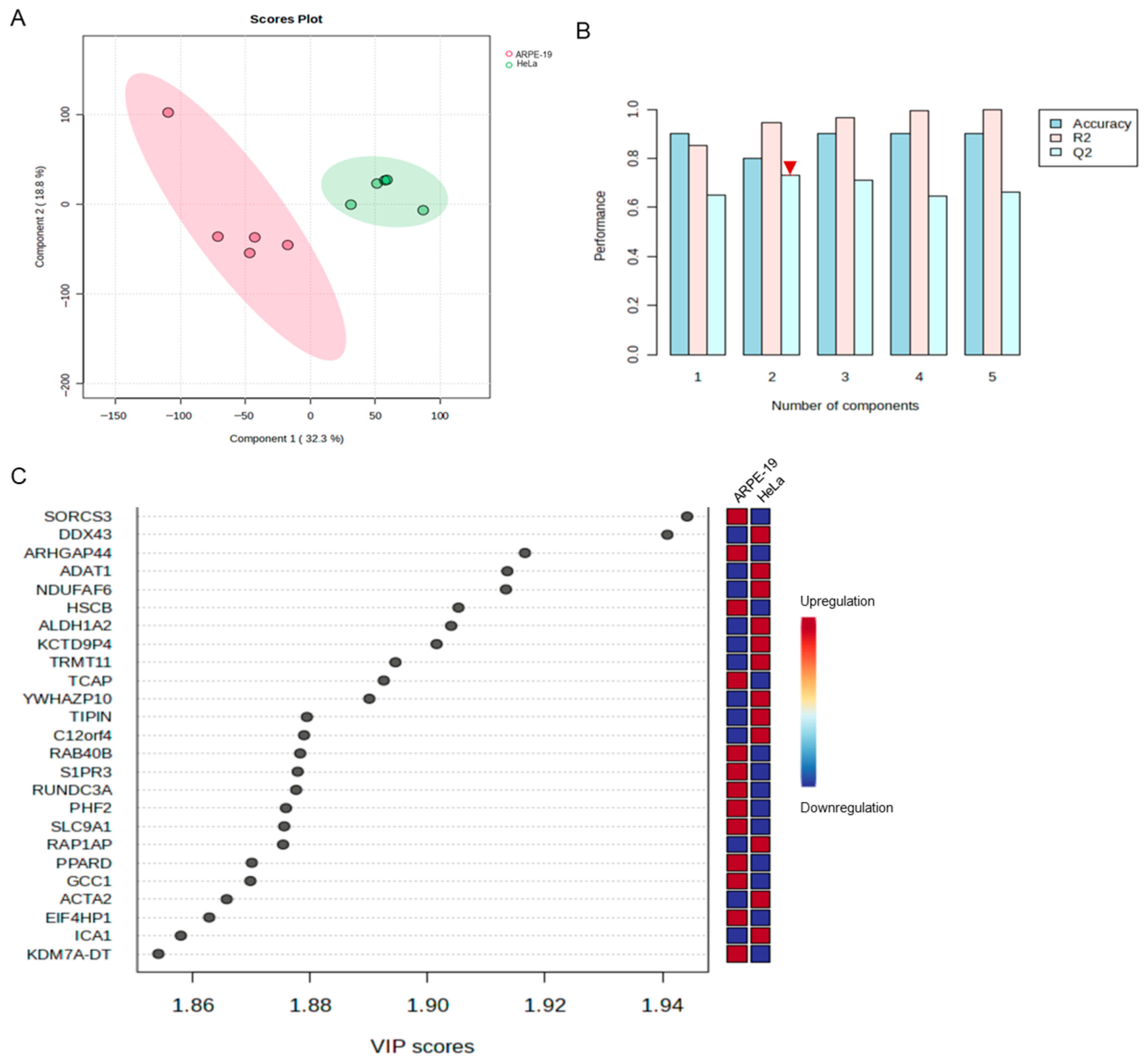 Viruses 17 01366 g003