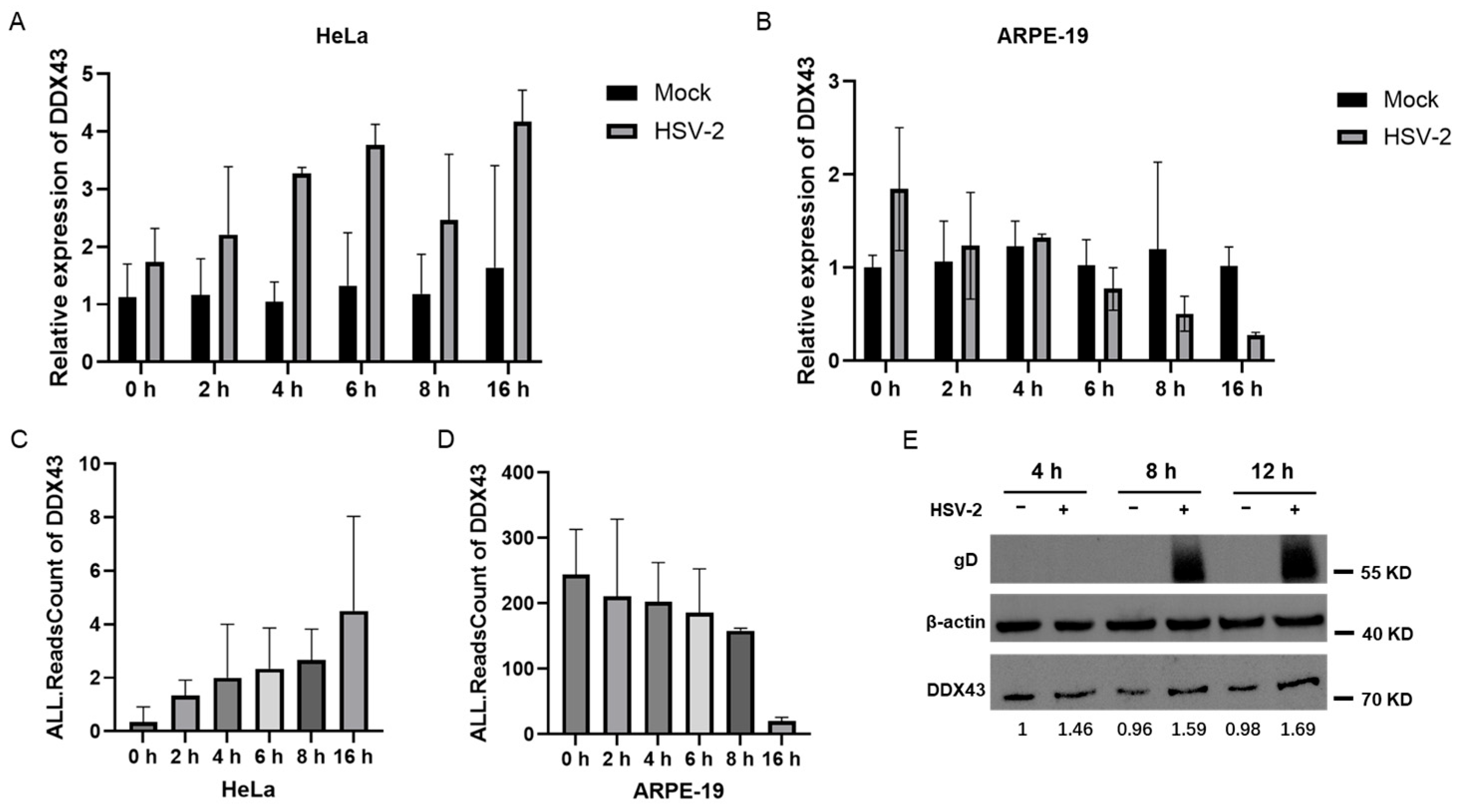 Viruses 17 01366 g004