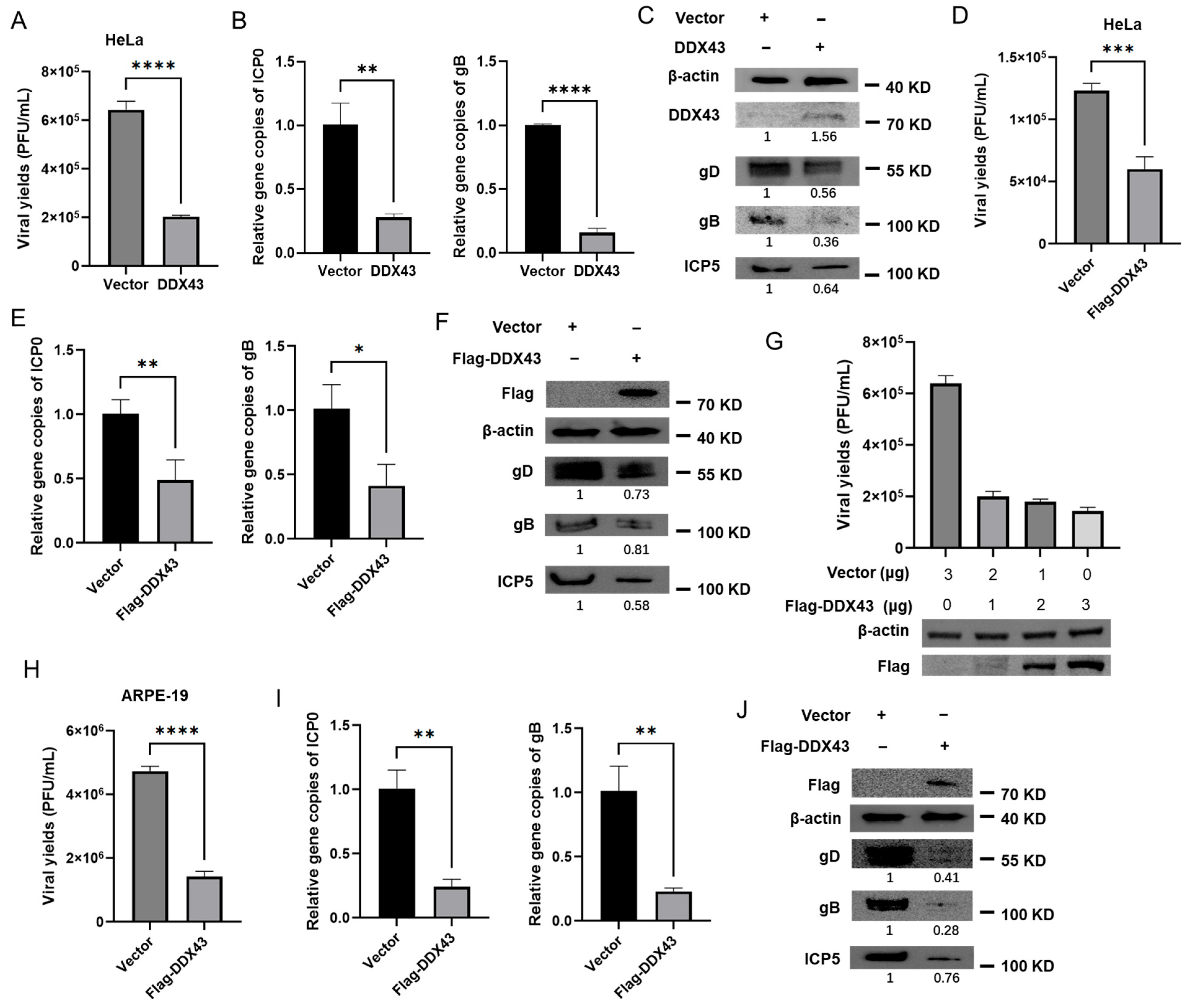Viruses 17 01366 g005