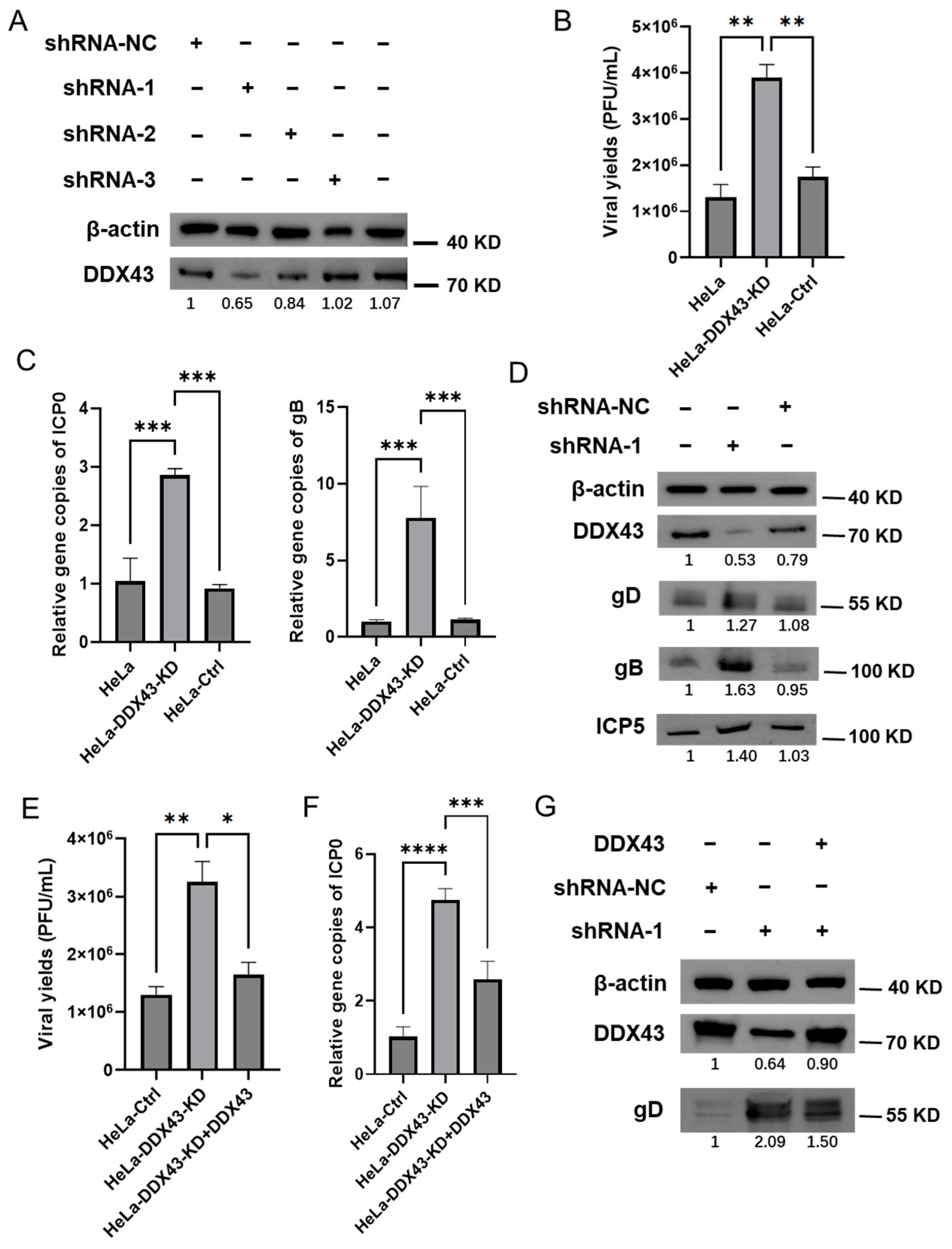 Viruses 17 01366 g006