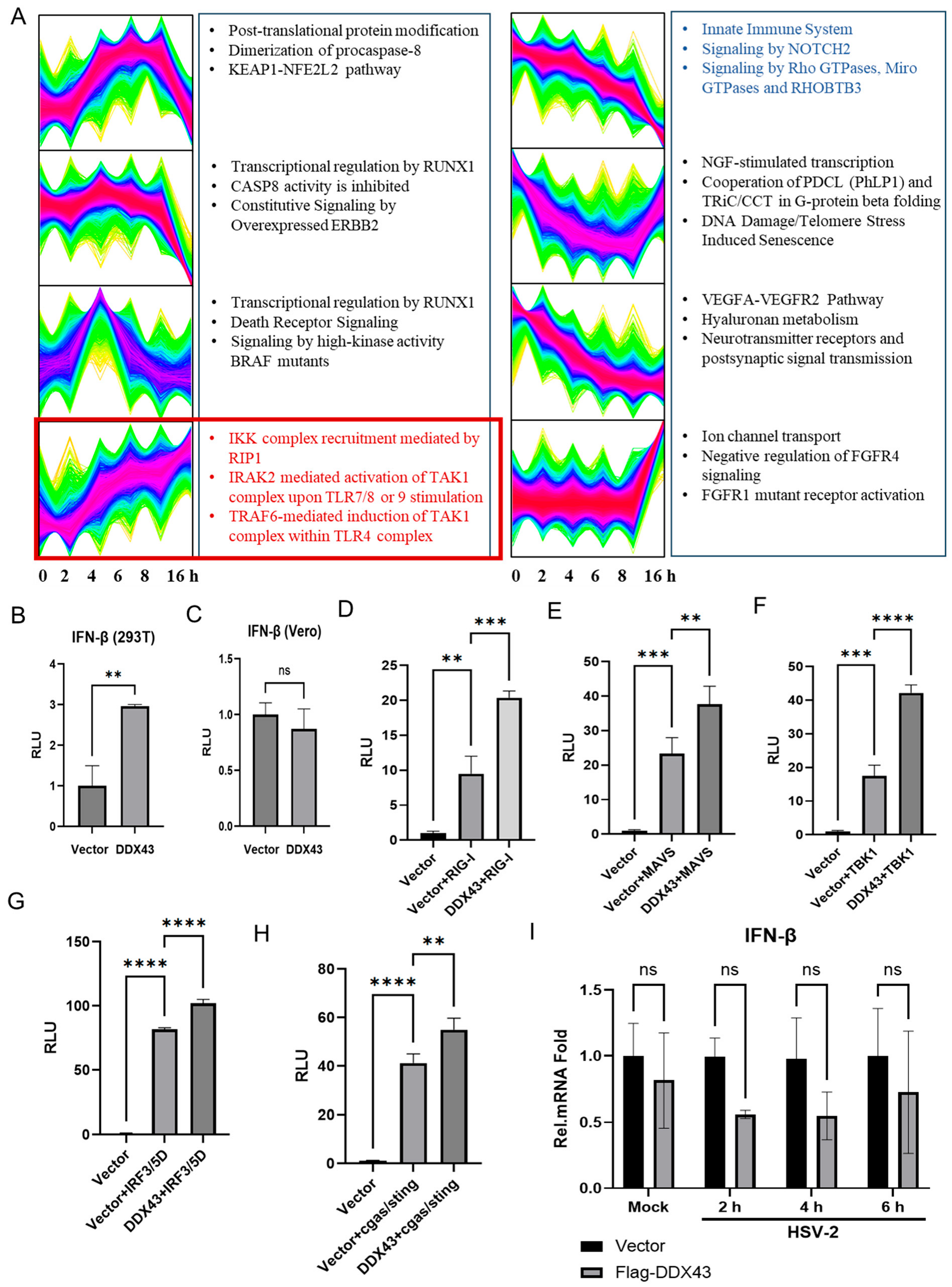 Viruses 17 01366 g007