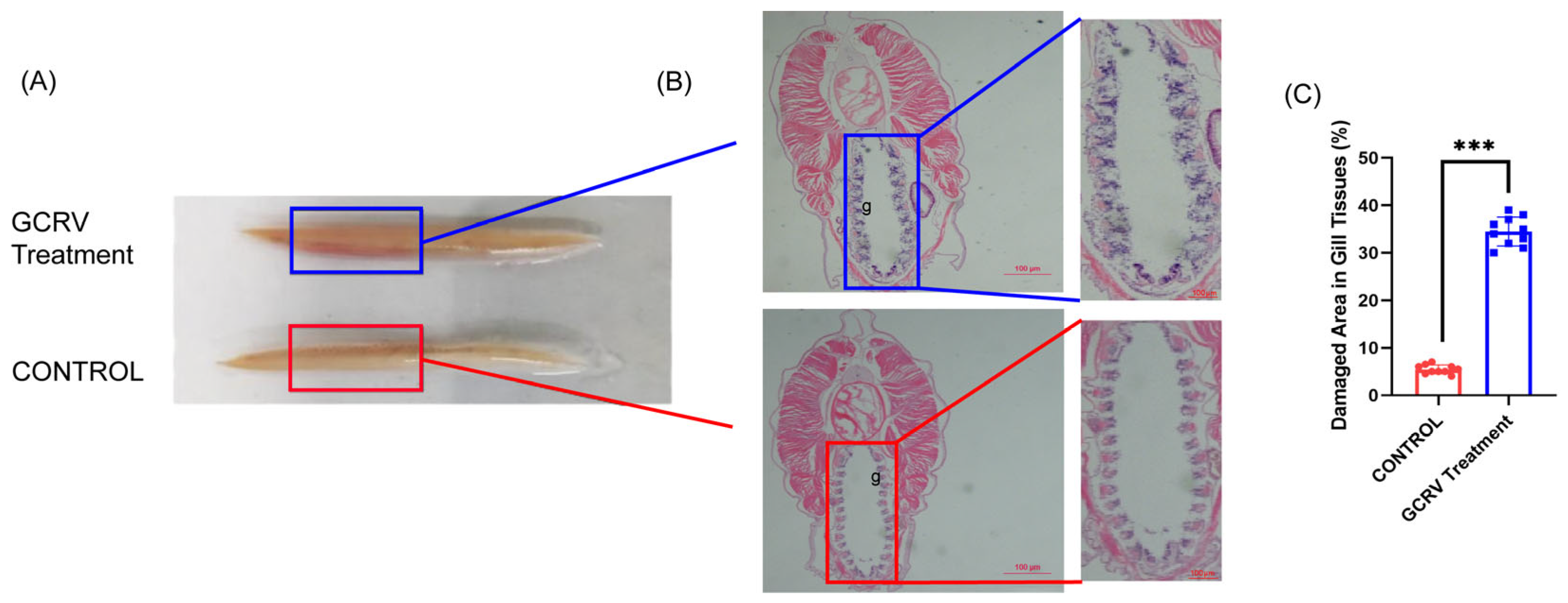 Viruses 17 01367 g002 Viruses 17 01367 g002