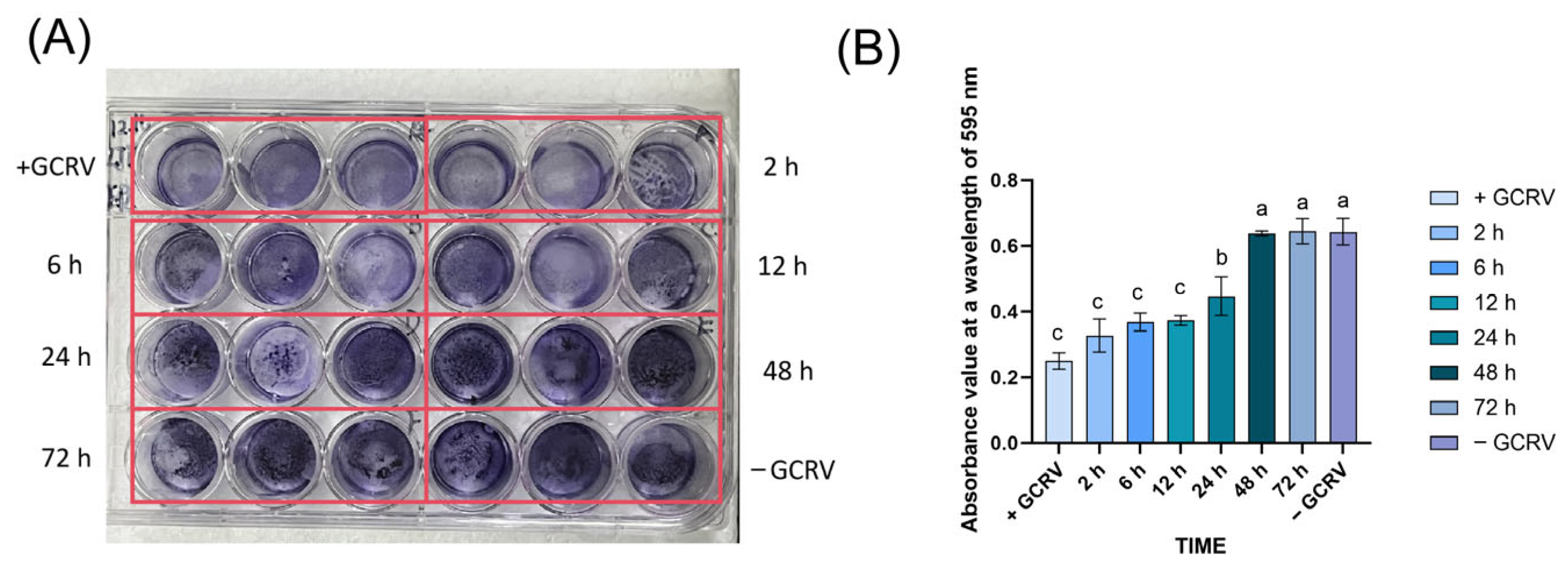 Viruses 17 01367 g003 Viruses 17 01367 g003