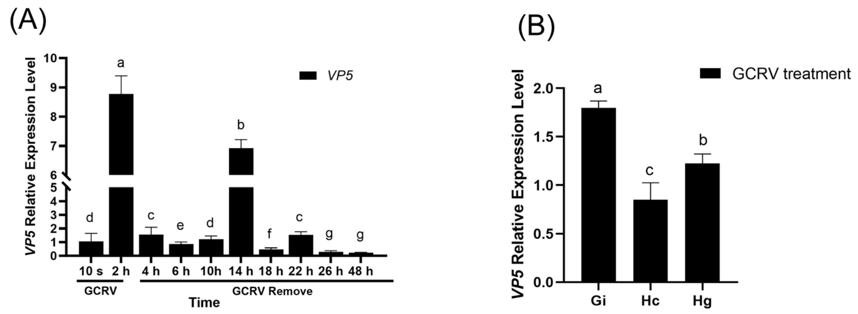 Viruses 17 01367 g004 Viruses 17 01367 g004