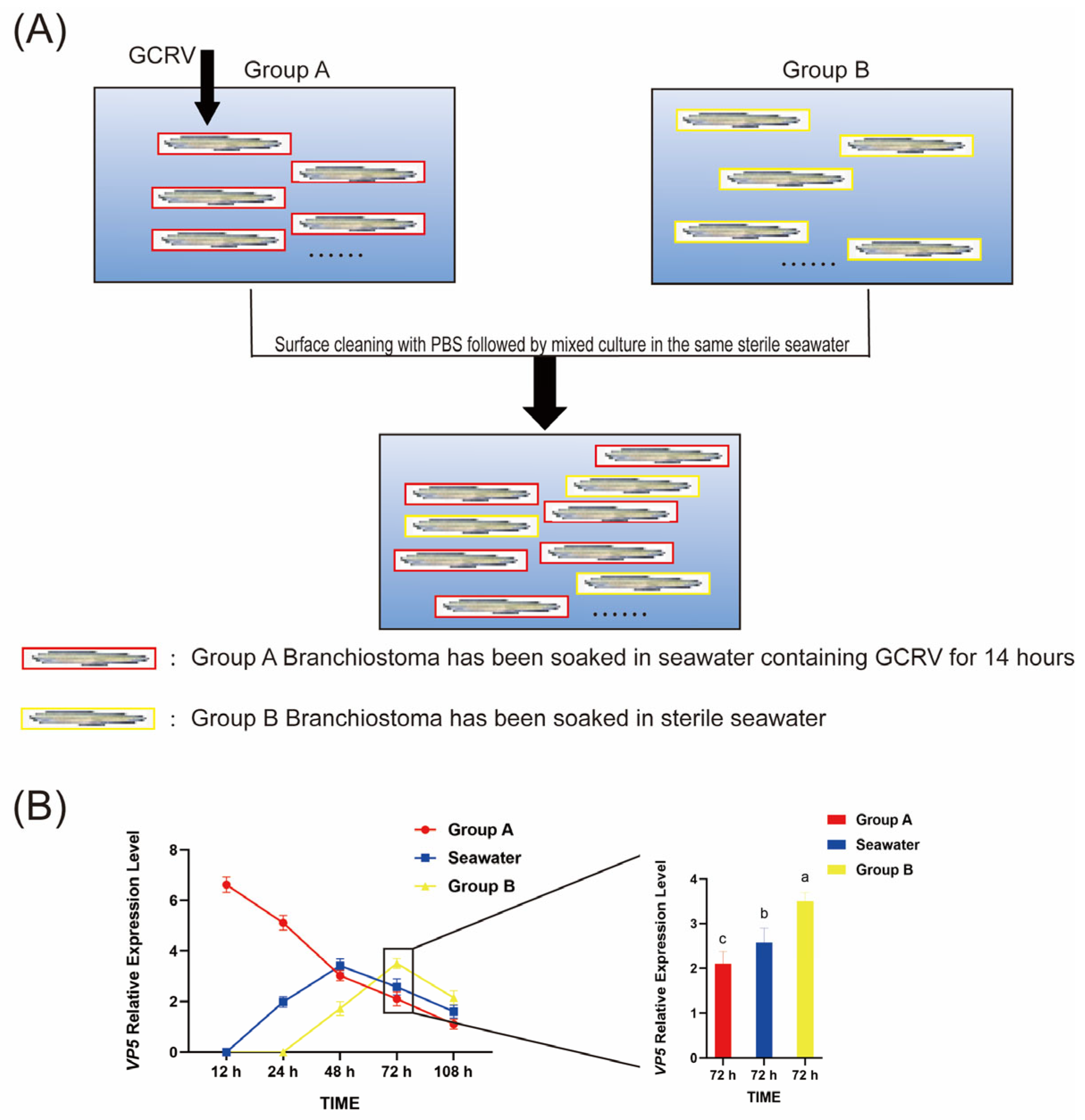 Viruses 17 01367 g005 Viruses 17 01367 g005