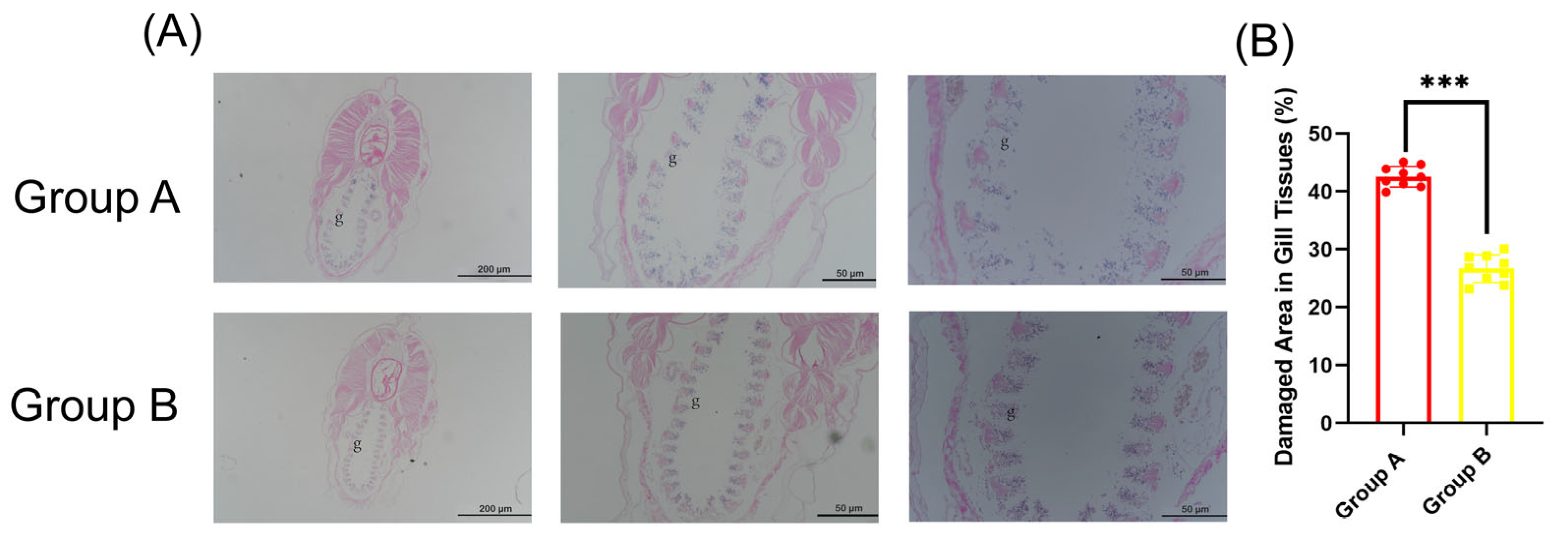 Viruses 17 01367 g006 Viruses 17 01367 g006