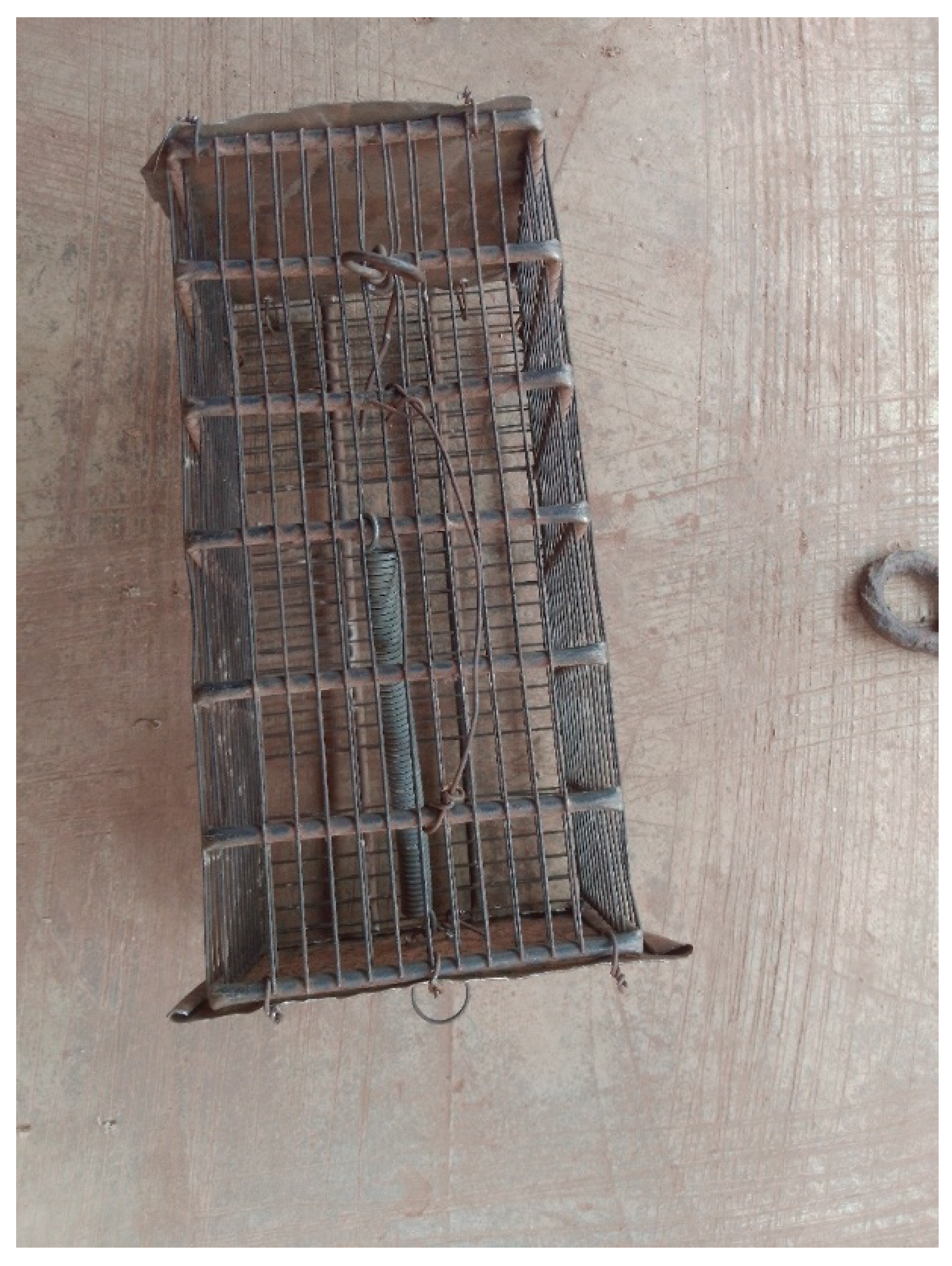 Viruses 17 01368 g002 Viruses 17 01368 g002