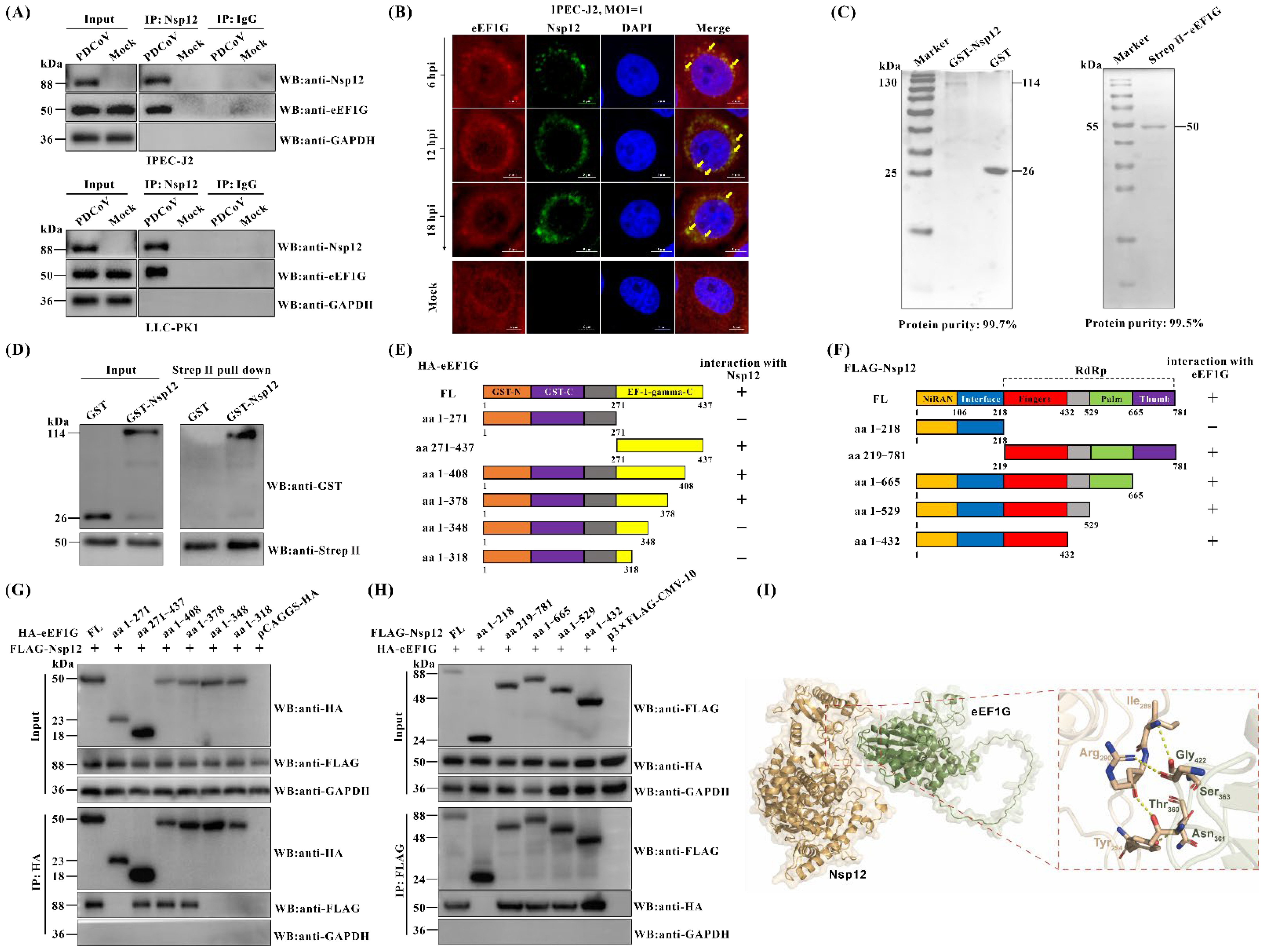 Viruses 17 01369 g002