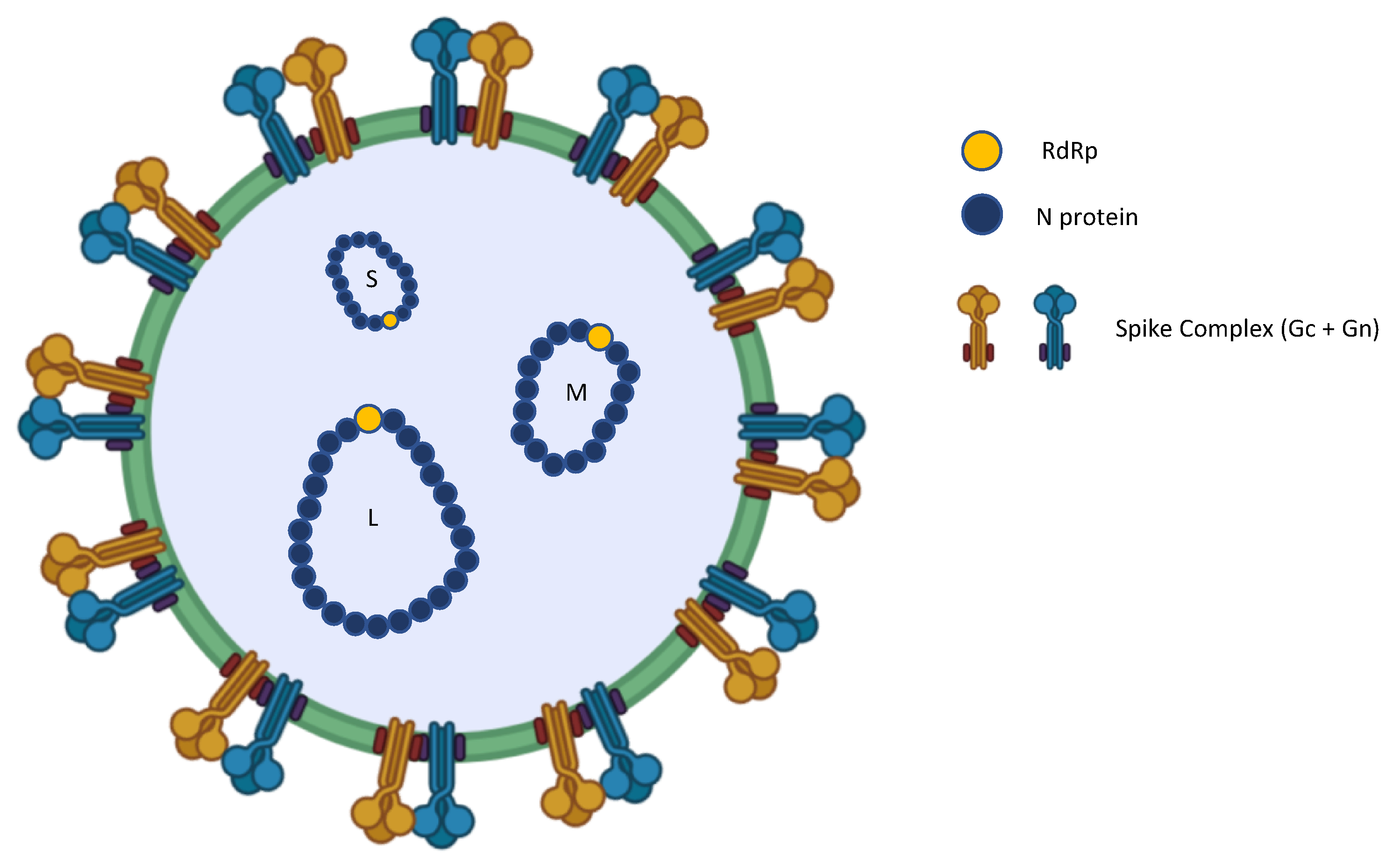 Viruses 17 01382 g001 Viruses 17 01382 g001