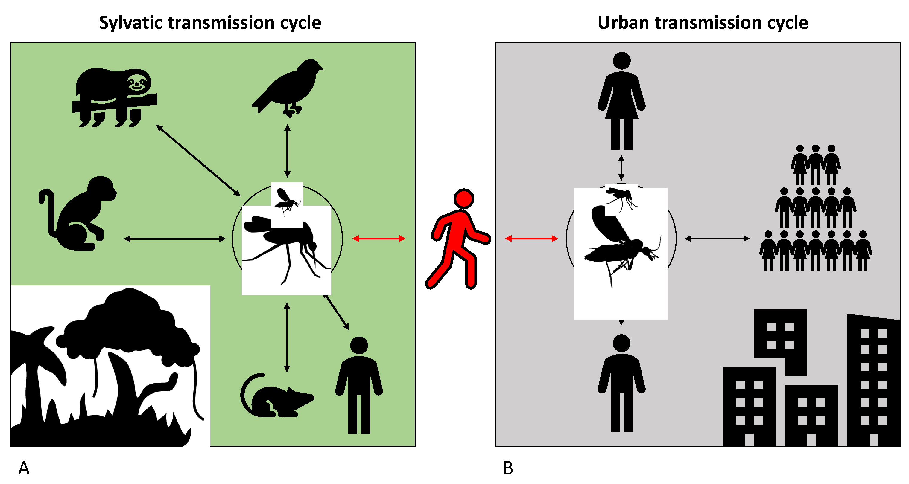 Viruses 17 01382 g003 Viruses 17 01382 g003