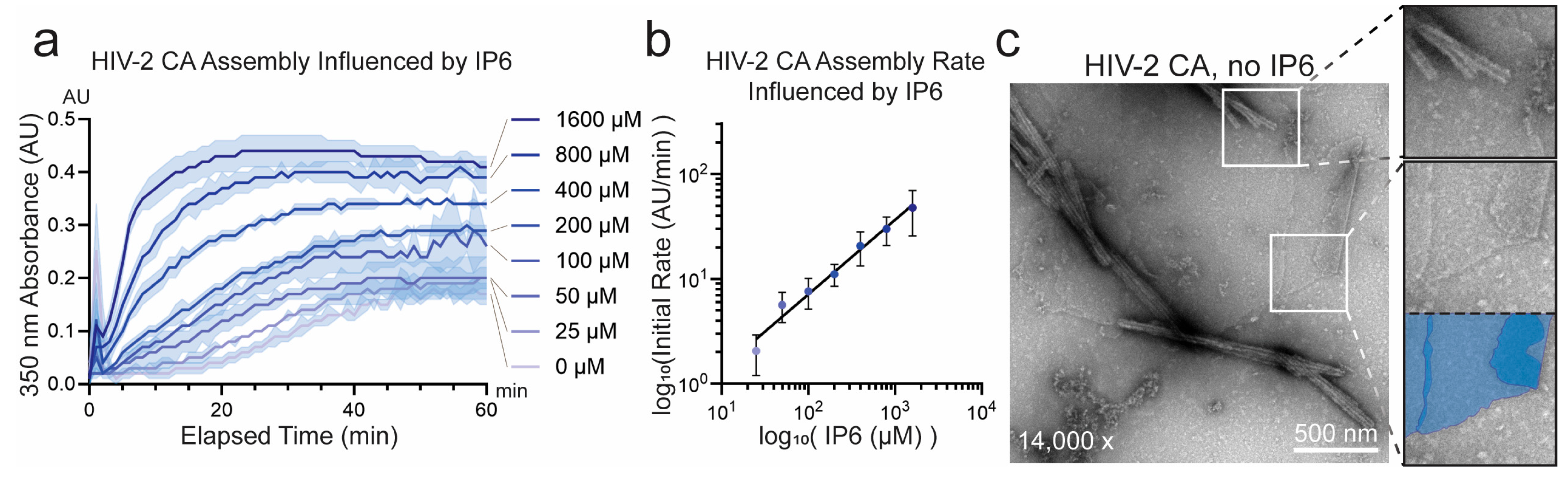 Viruses 17 01384 g002 Viruses 17 01384 g002