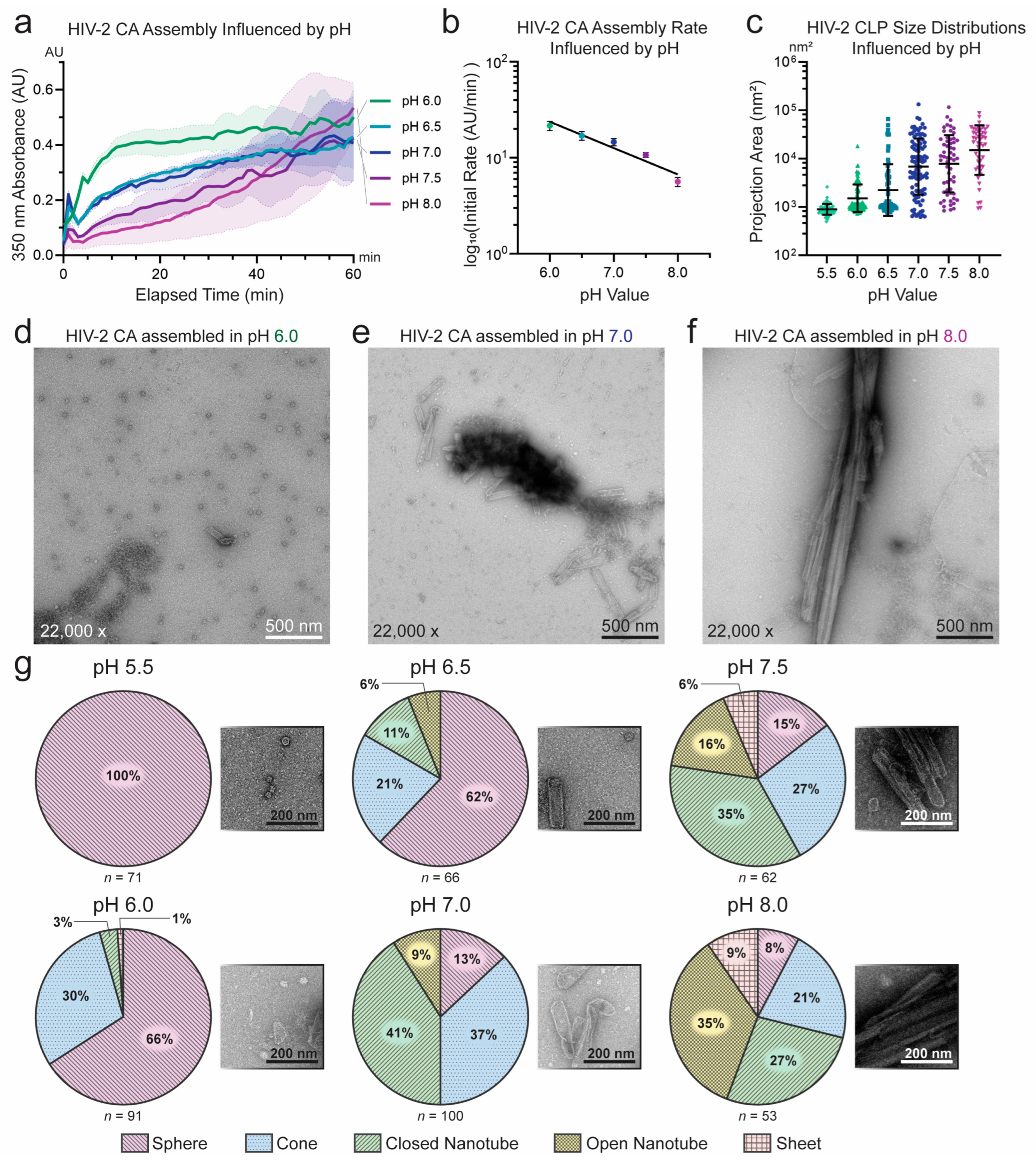 Viruses 17 01384 g003 Viruses 17 01384 g003