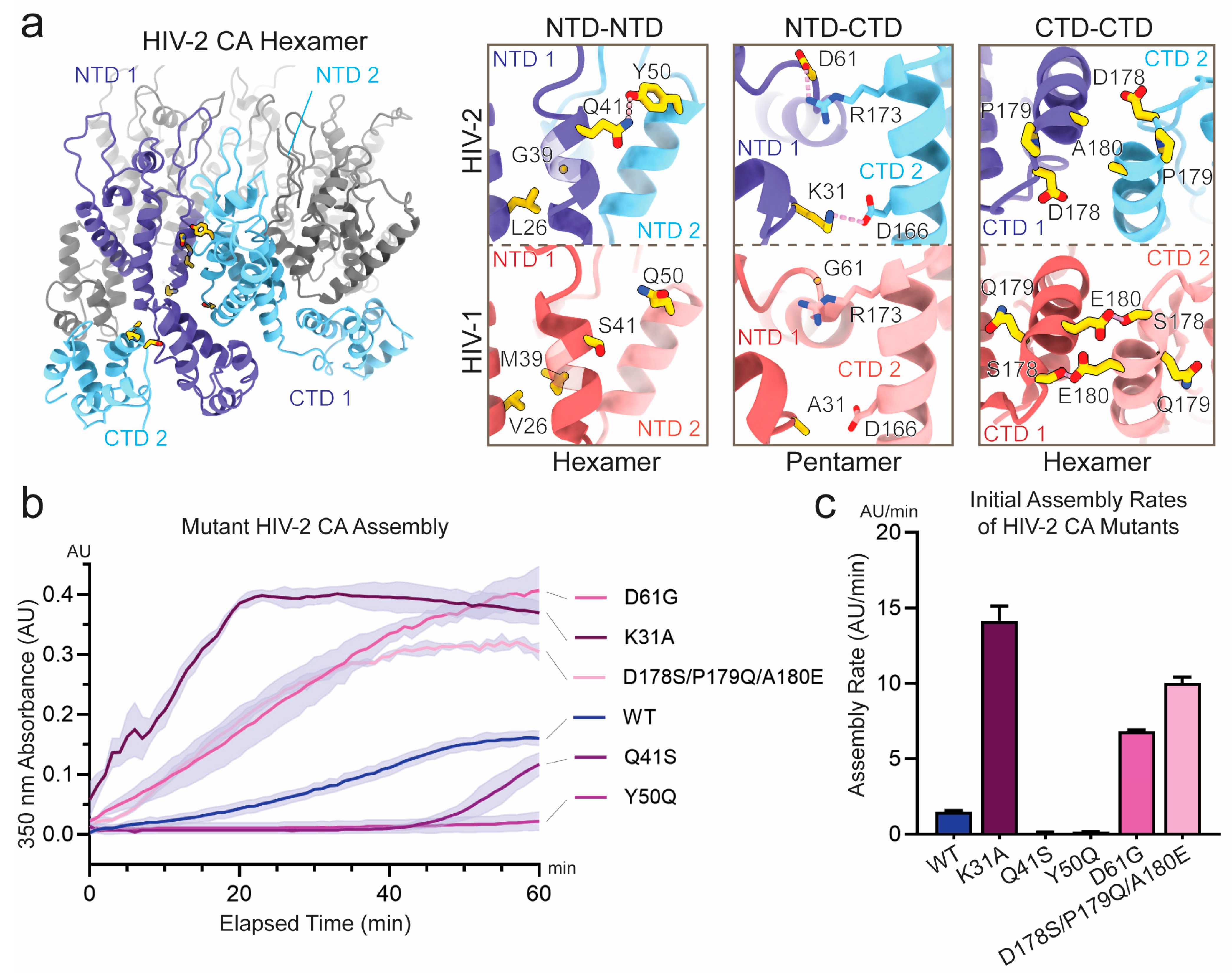 Viruses 17 01384 g004 Viruses 17 01384 g004