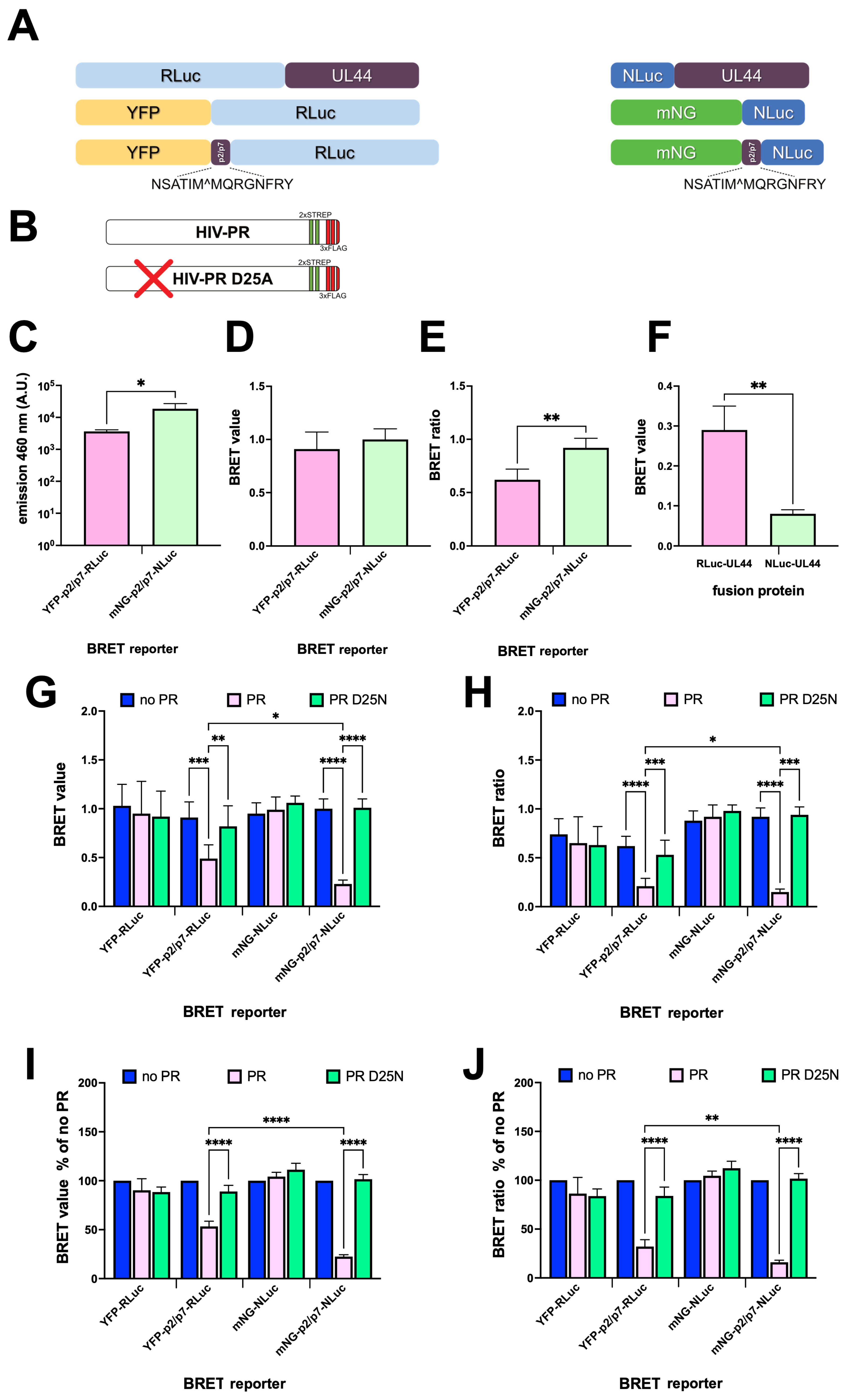 Viruses 17 01391 g002 Viruses 17 01391 g002