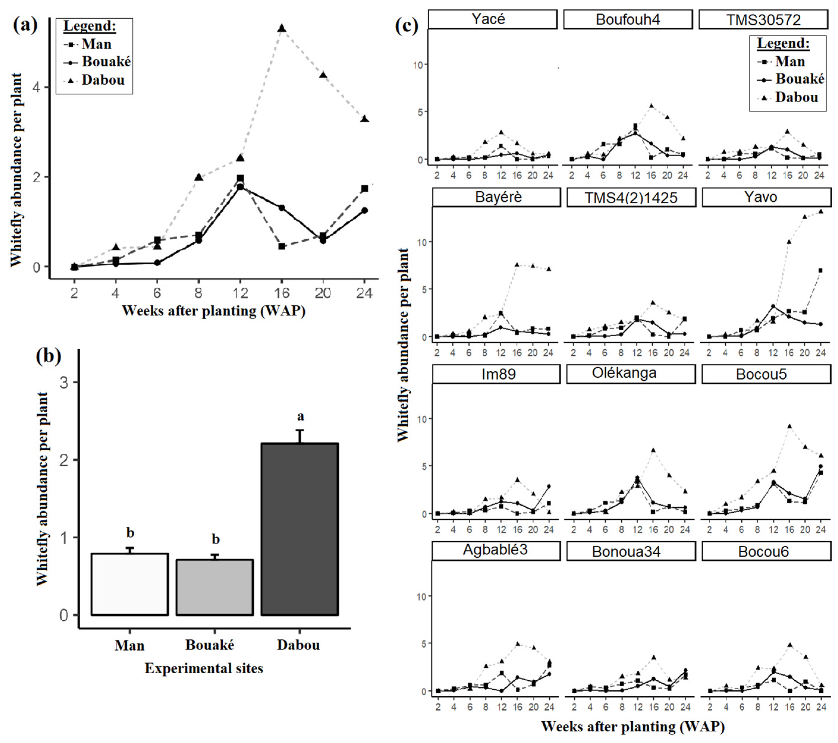 Viruses 17 01393 g005 Viruses 17 01393 g005