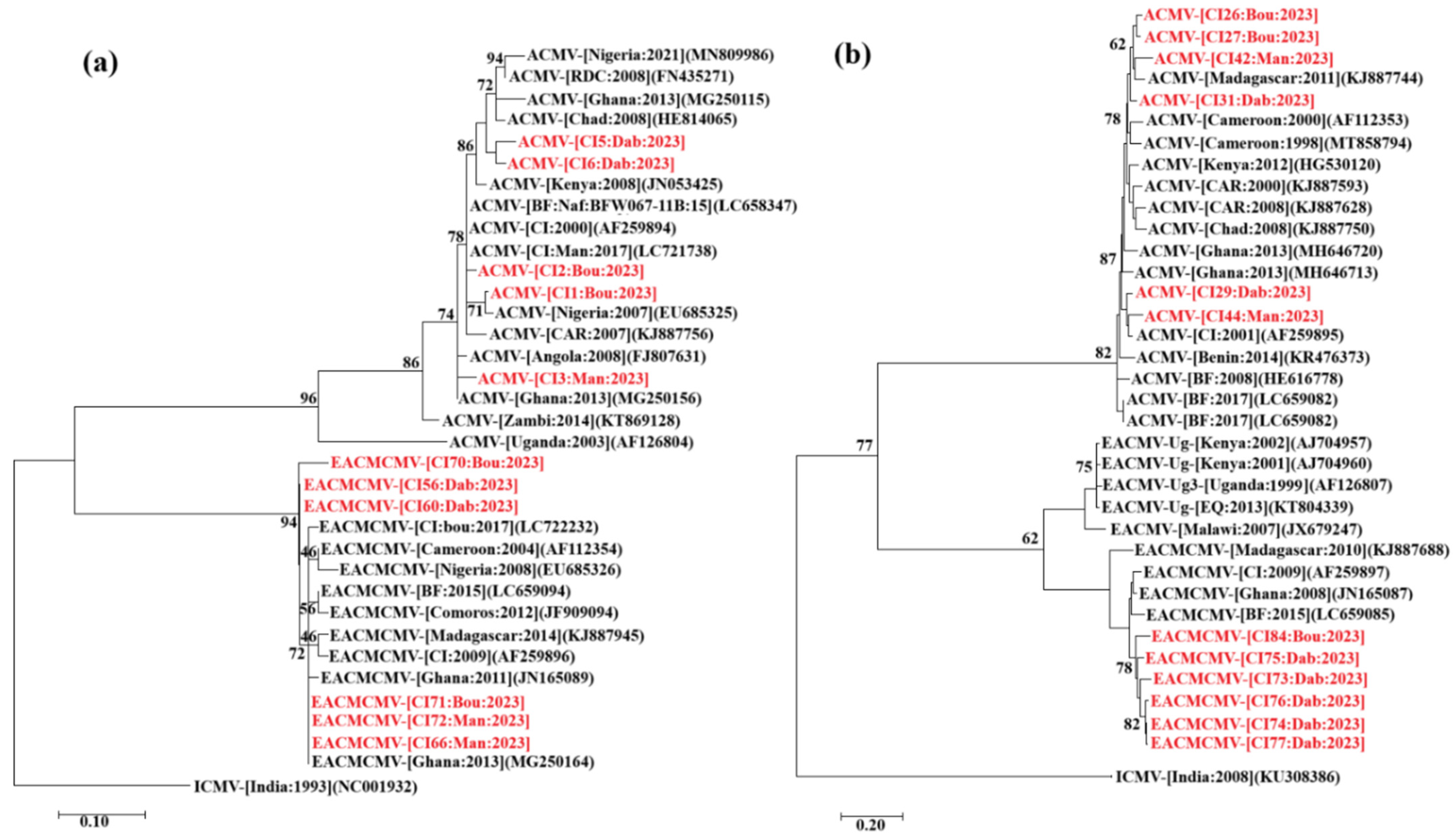 Viruses 17 01393 g008 Viruses 17 01393 g008