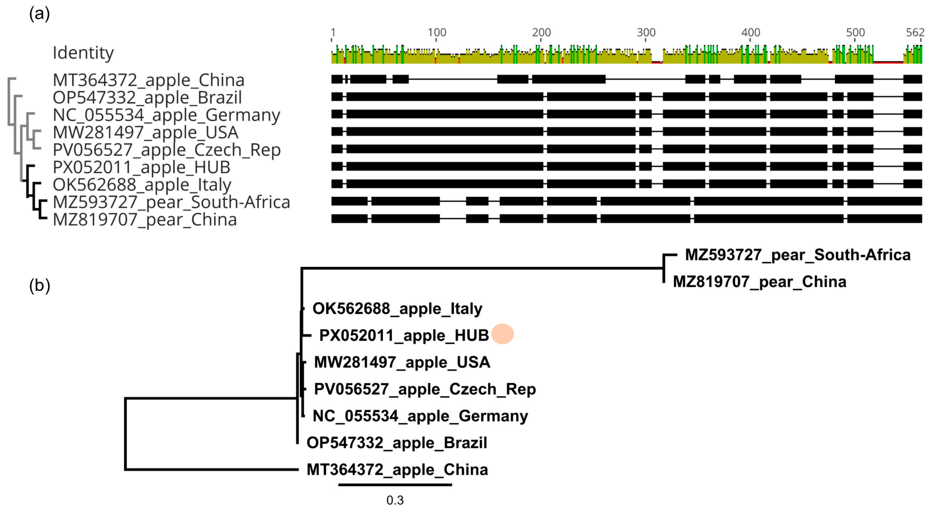 Viruses 17 01394 g005 Viruses 17 01394 g005