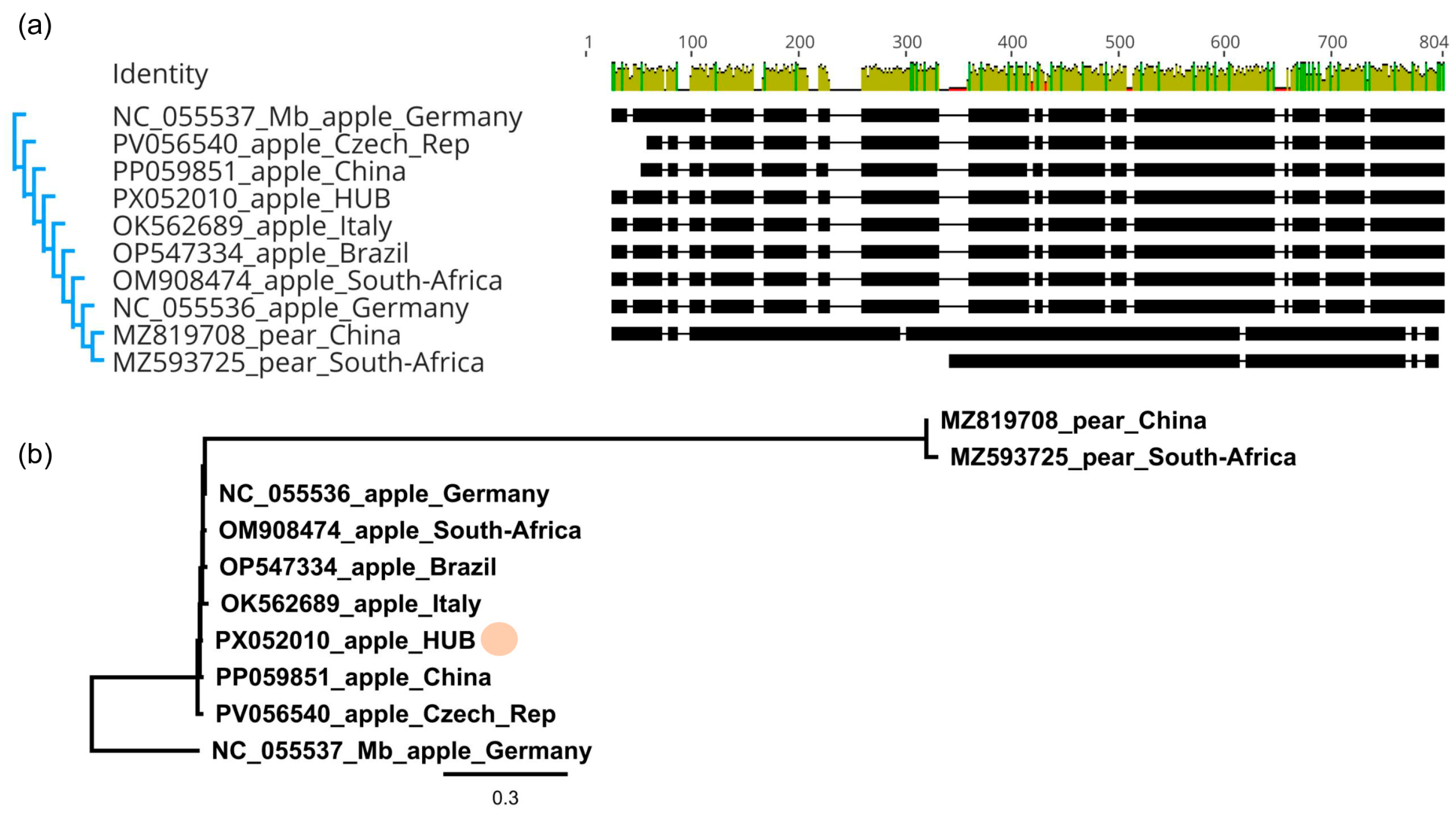 Viruses 17 01394 g006 Viruses 17 01394 g006