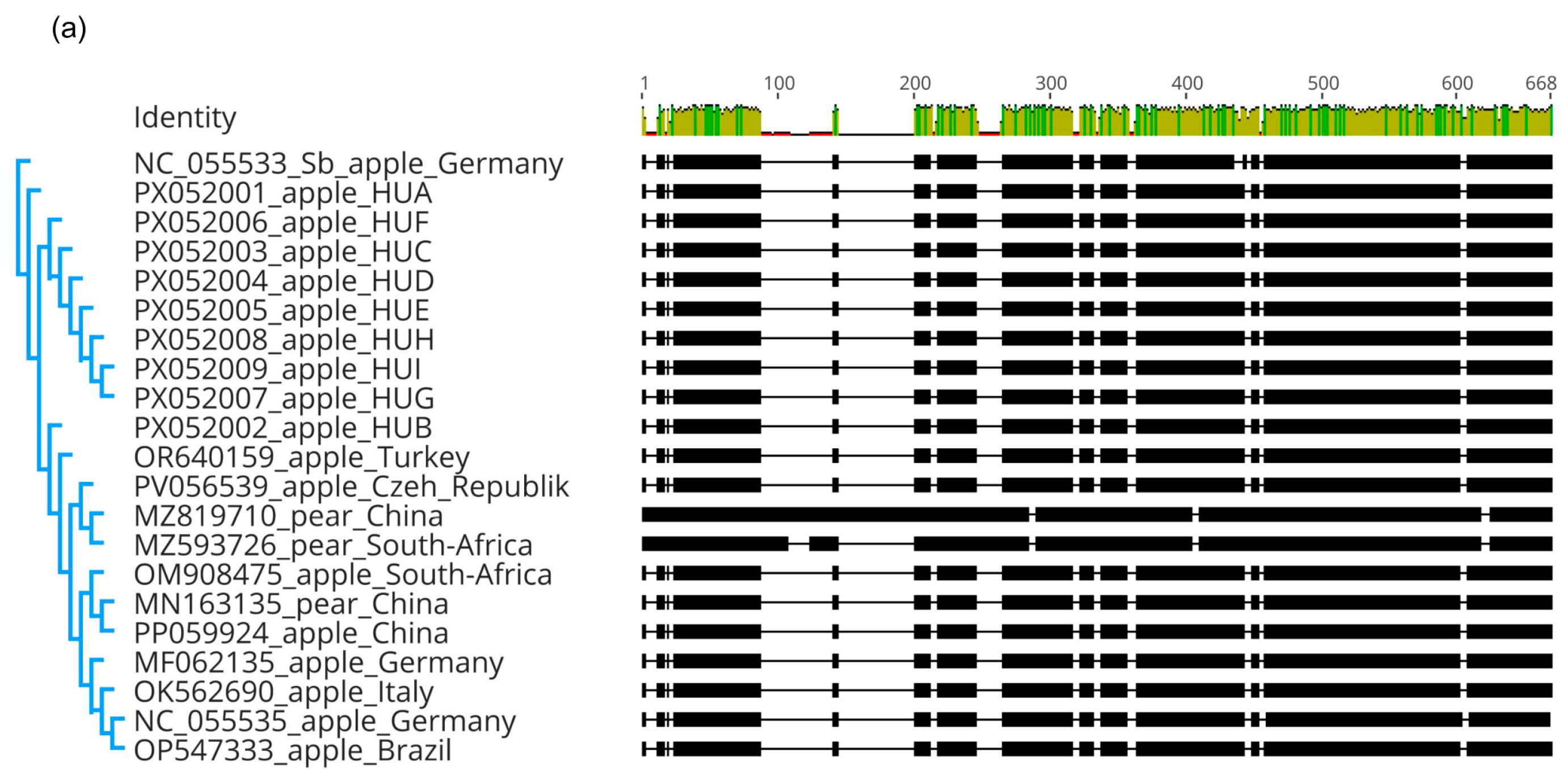 Viruses 17 01394 g007a Viruses 17 01394 g007a