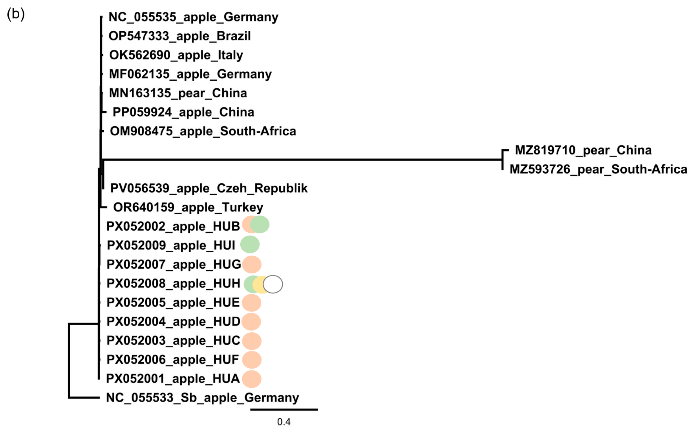 Viruses 17 01394 g007b Viruses 17 01394 g007b
