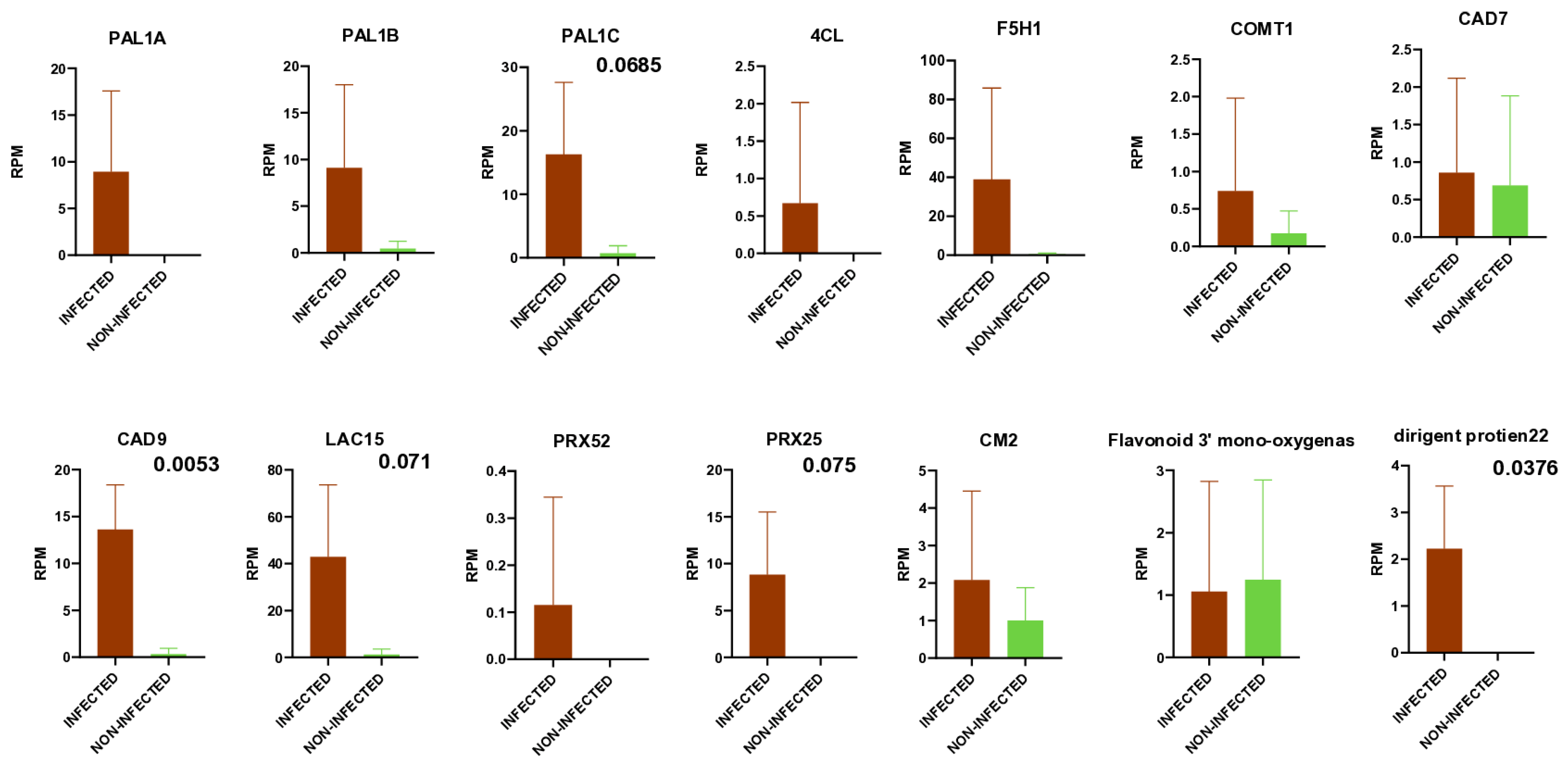 Viruses 17 01394 g009 Viruses 17 01394 g009