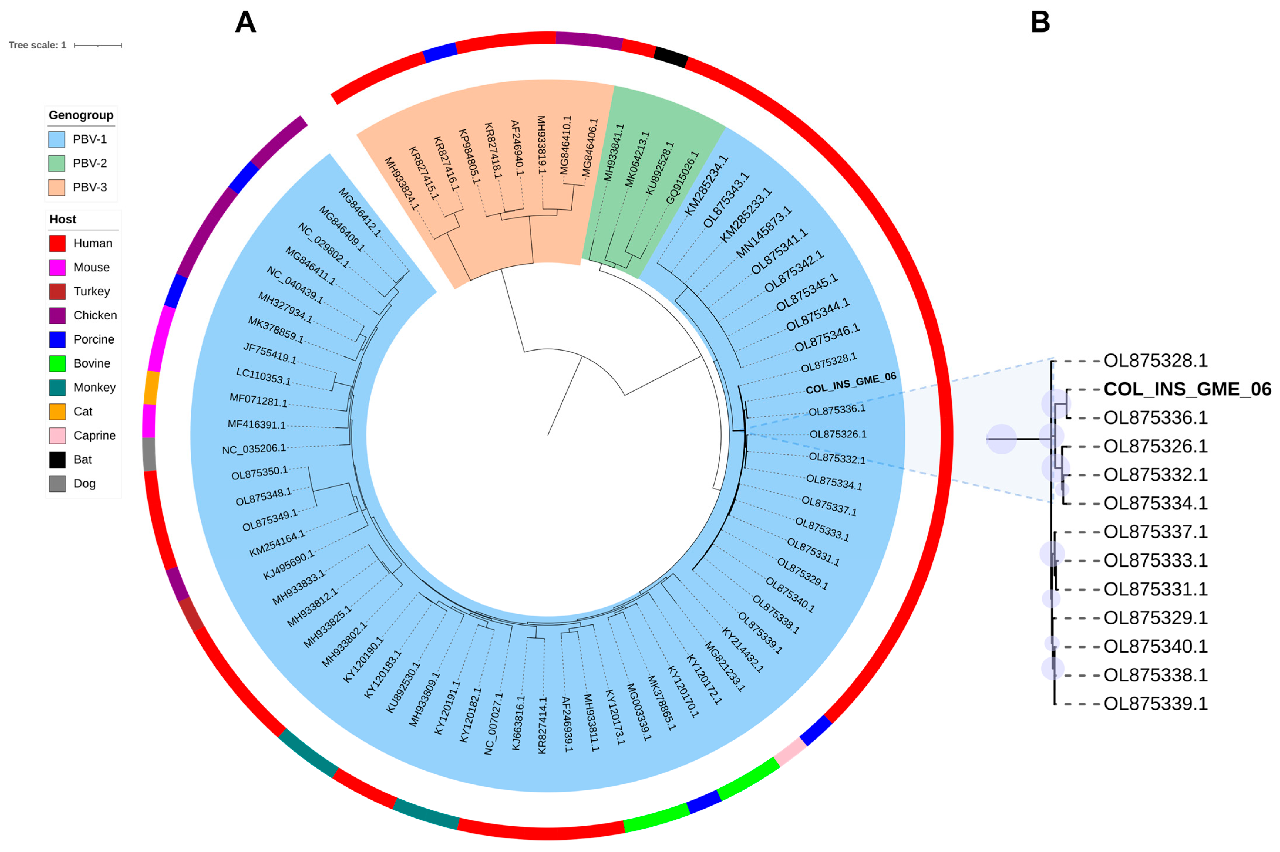 Viruses 17 01397 g003