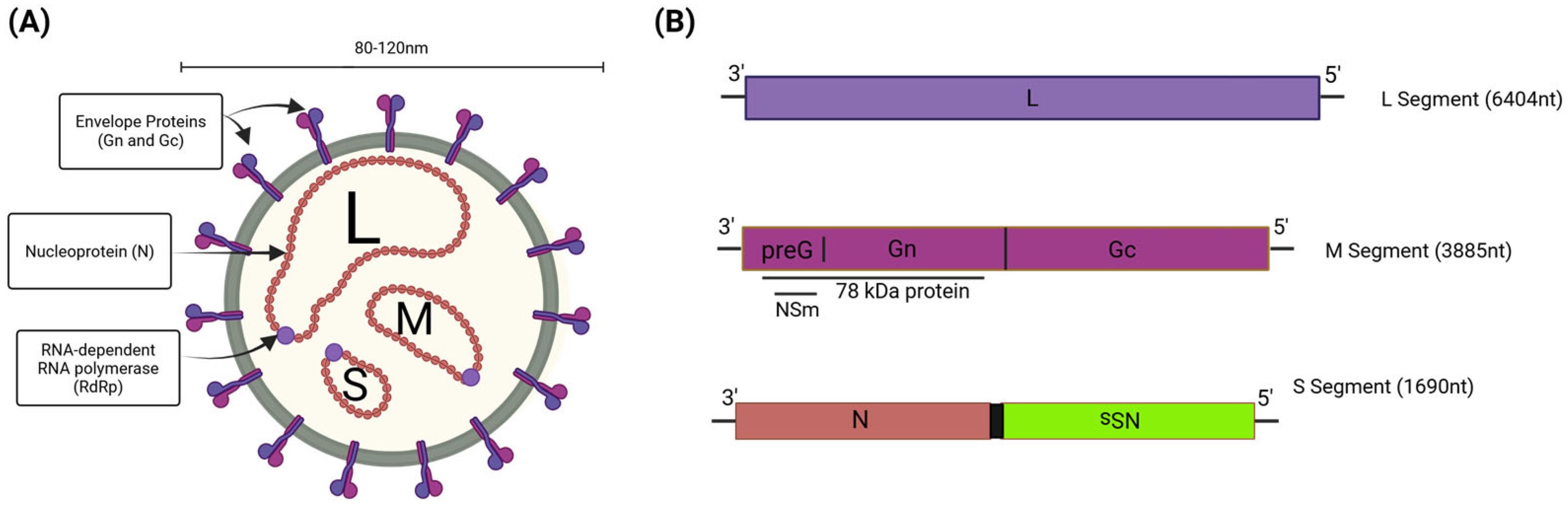 Viruses 17 01398 g001 Viruses 17 01398 g001