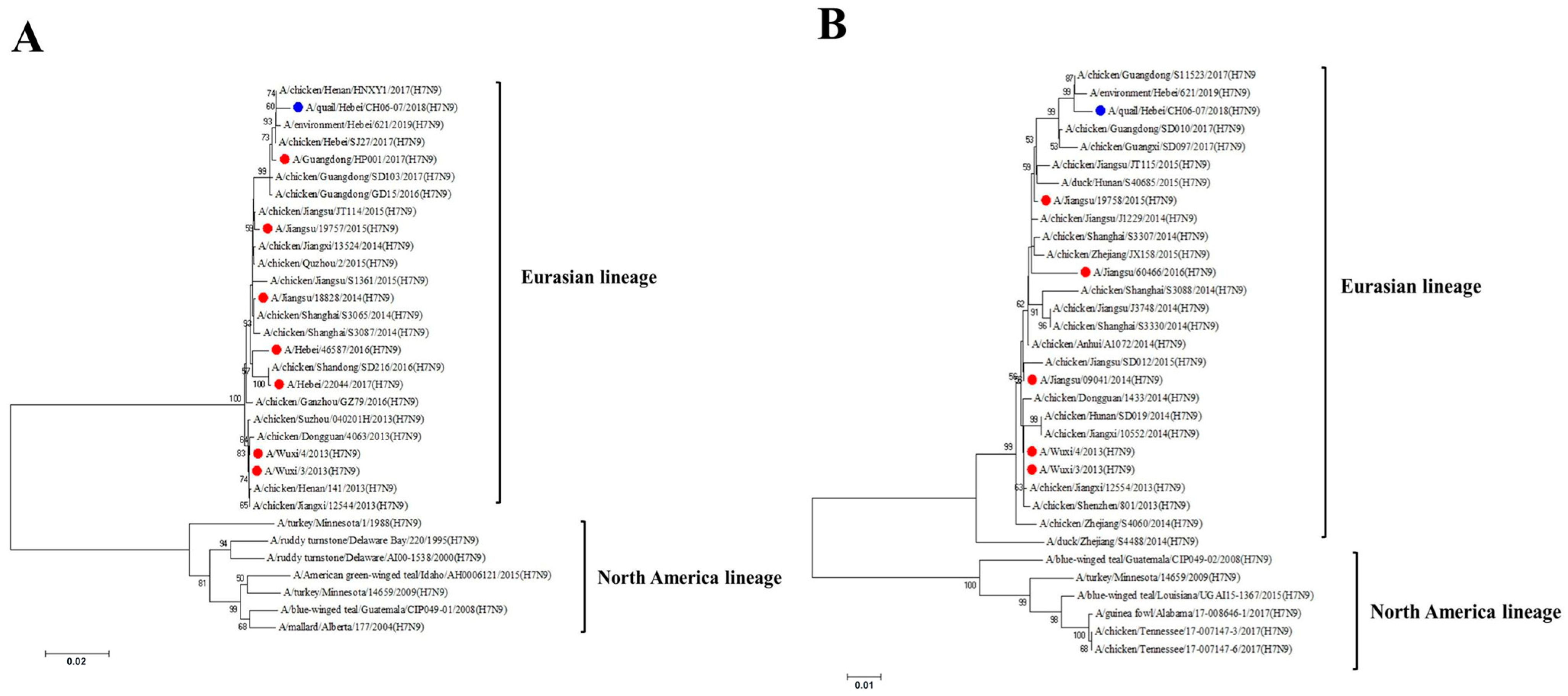 Viruses 17 01402 g001