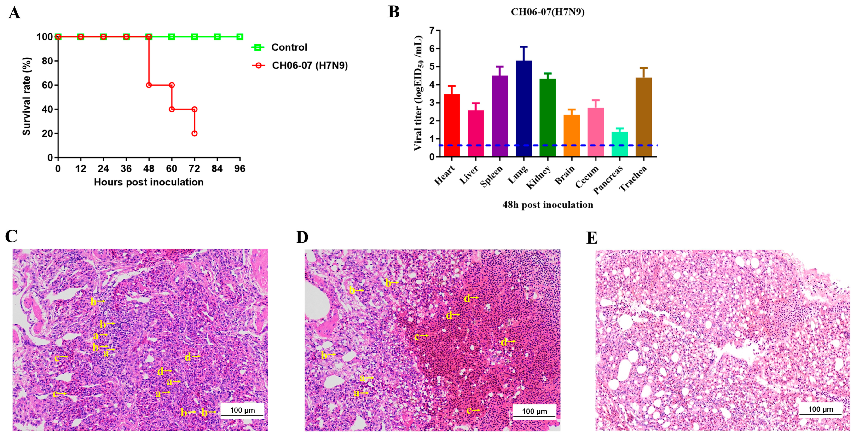 Viruses 17 01402 g003