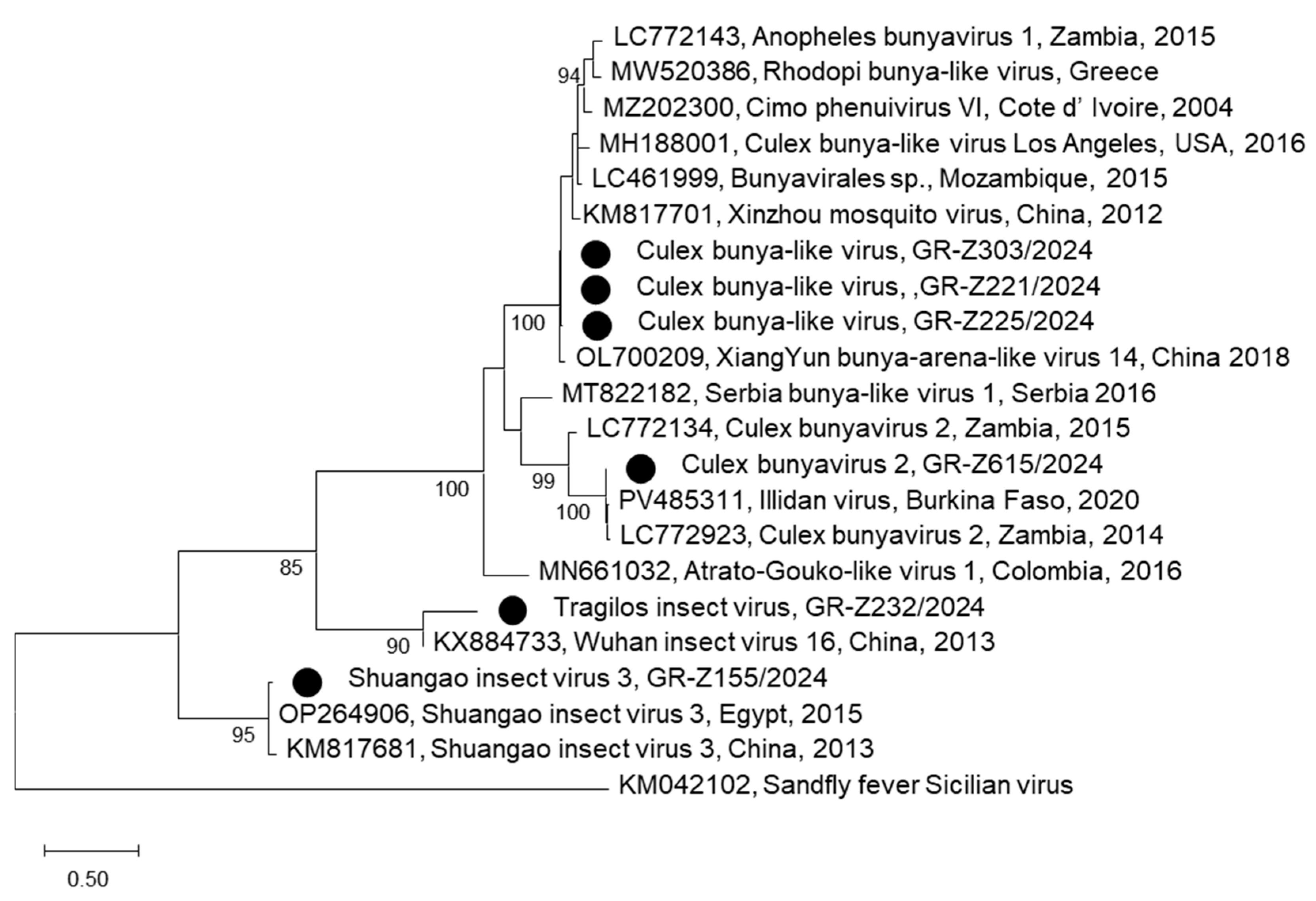 Viruses 17 01414 g004