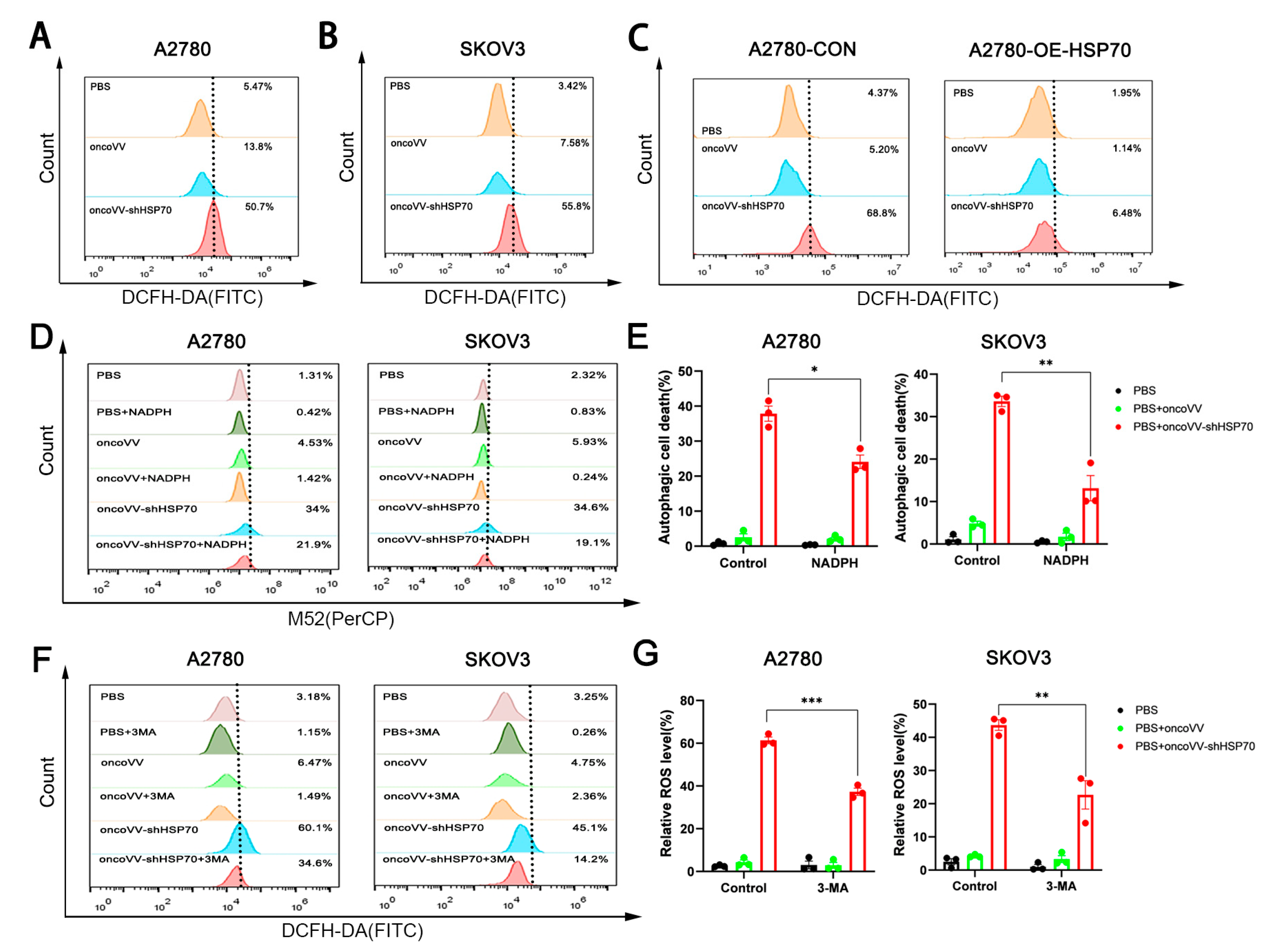 Viruses 17 01423 g002 Viruses 17 01423 g002