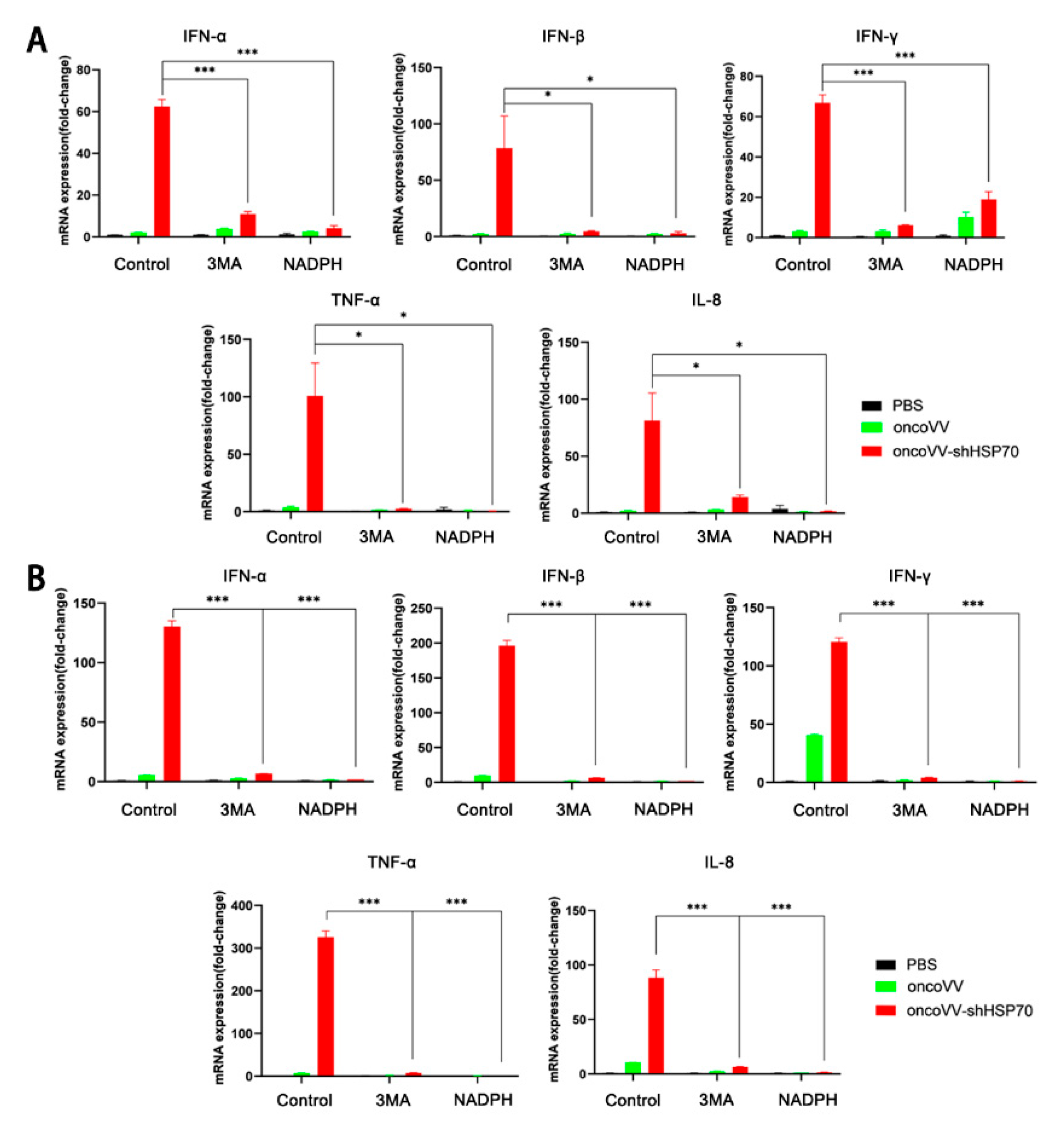 Viruses 17 01423 g003 Viruses 17 01423 g003