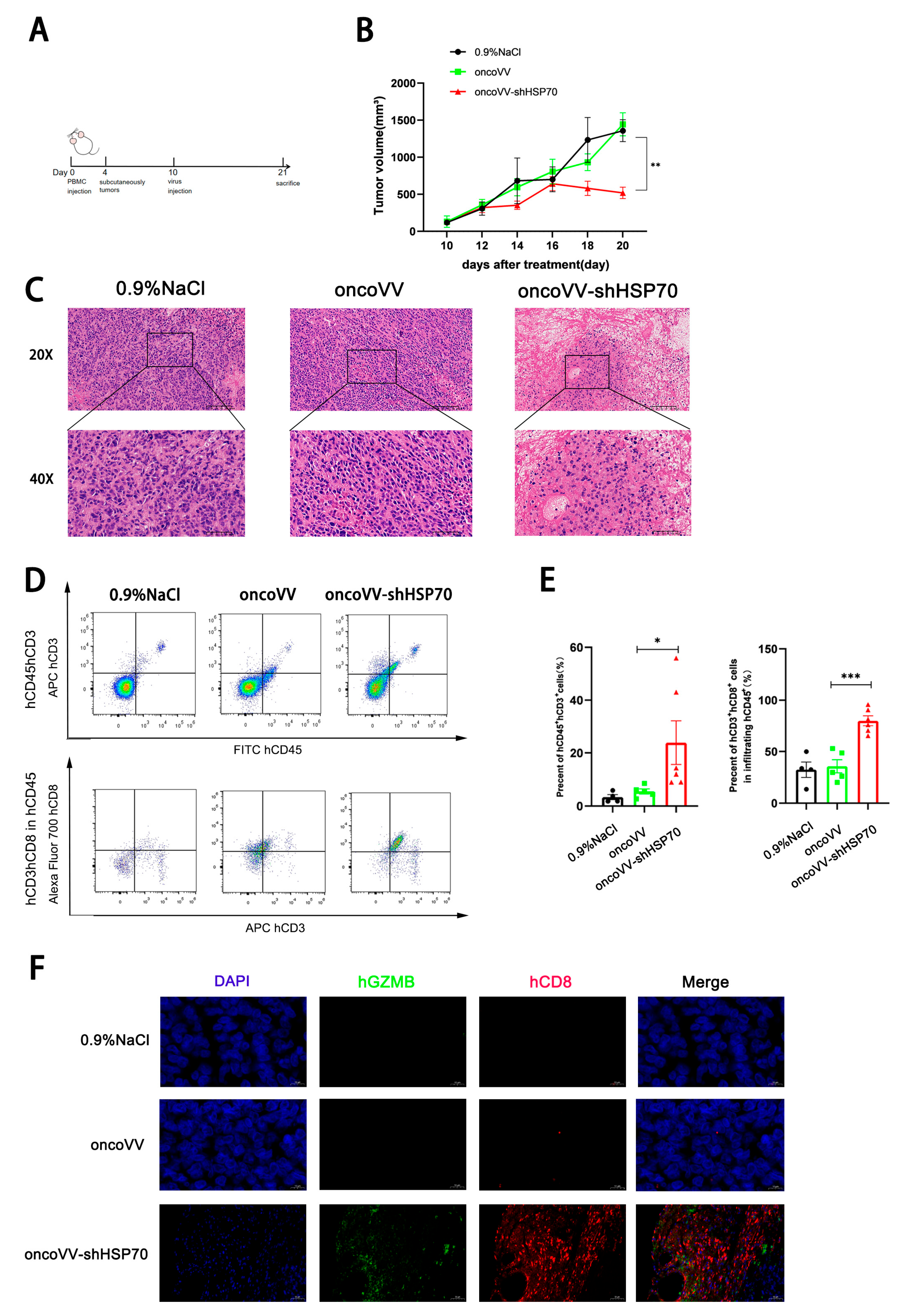 Viruses 17 01423 g004 Viruses 17 01423 g004