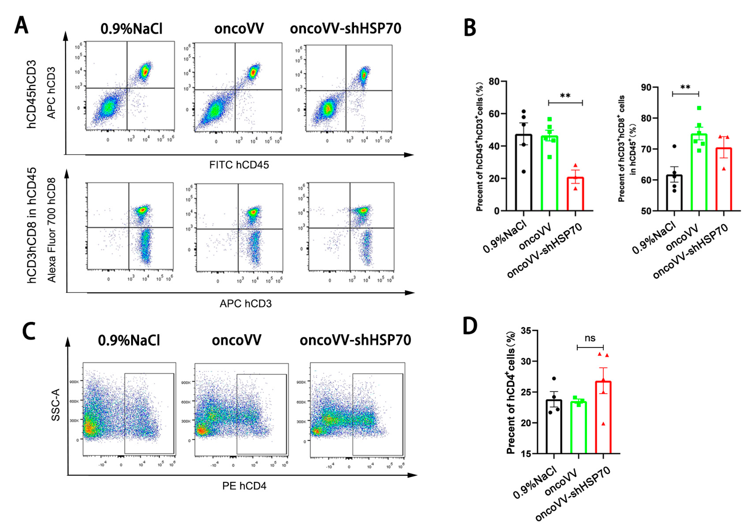 Viruses 17 01423 g005 Viruses 17 01423 g005