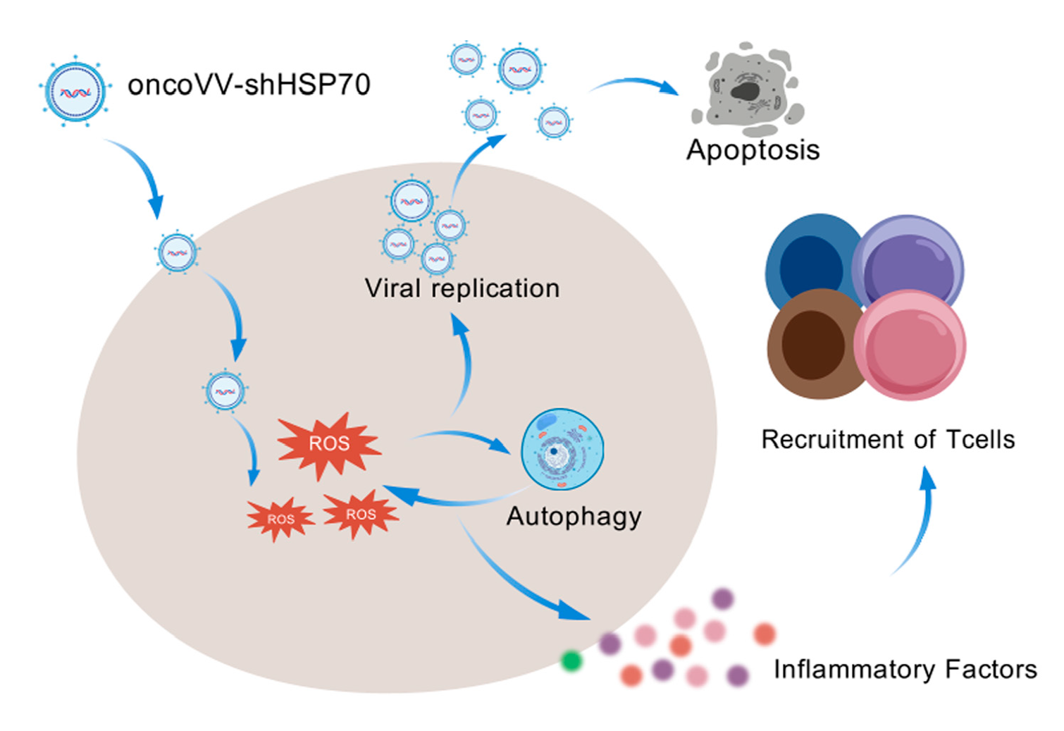 Viruses 17 01423 g006 Viruses 17 01423 g006