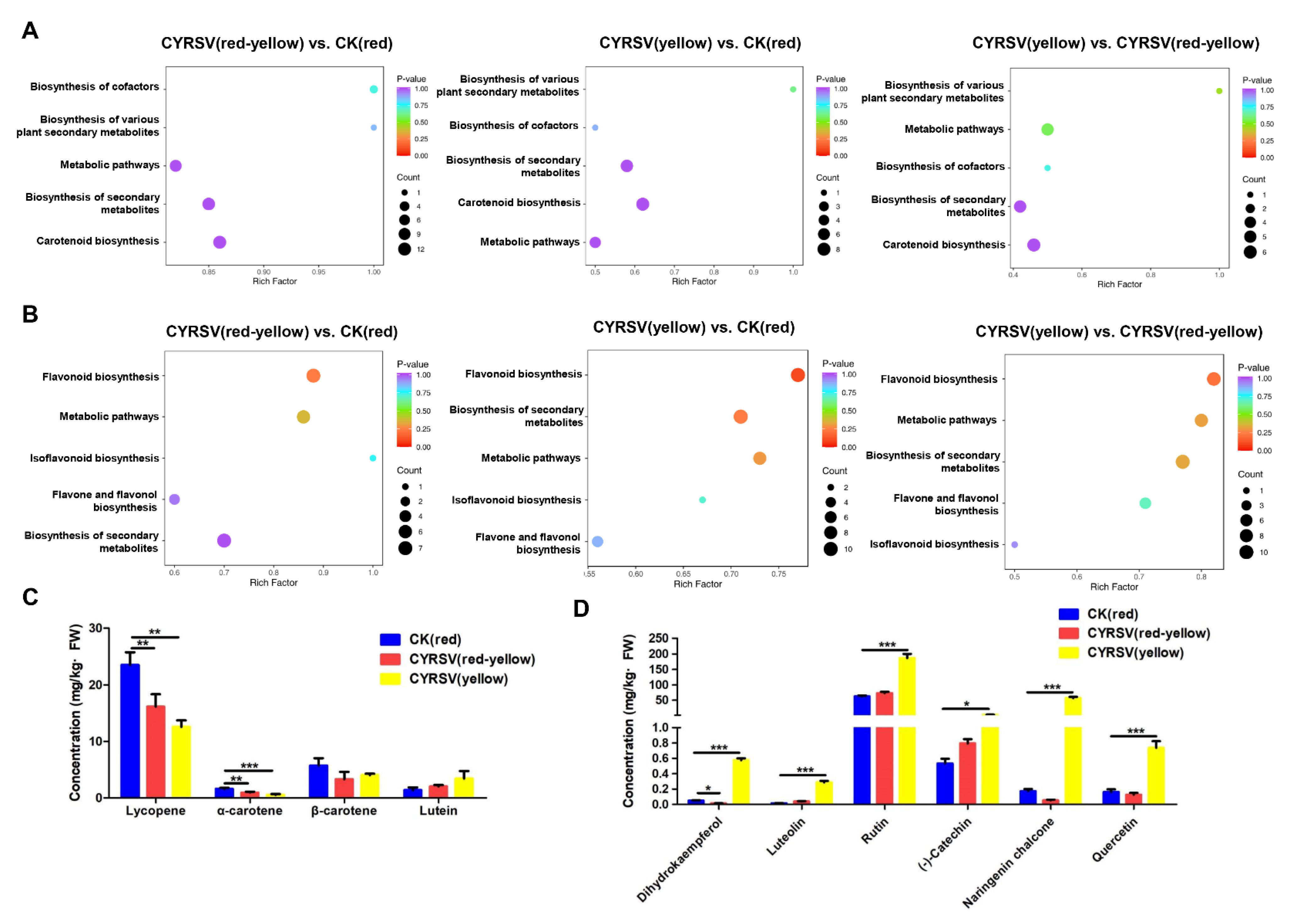 Viruses 17 01426 g004