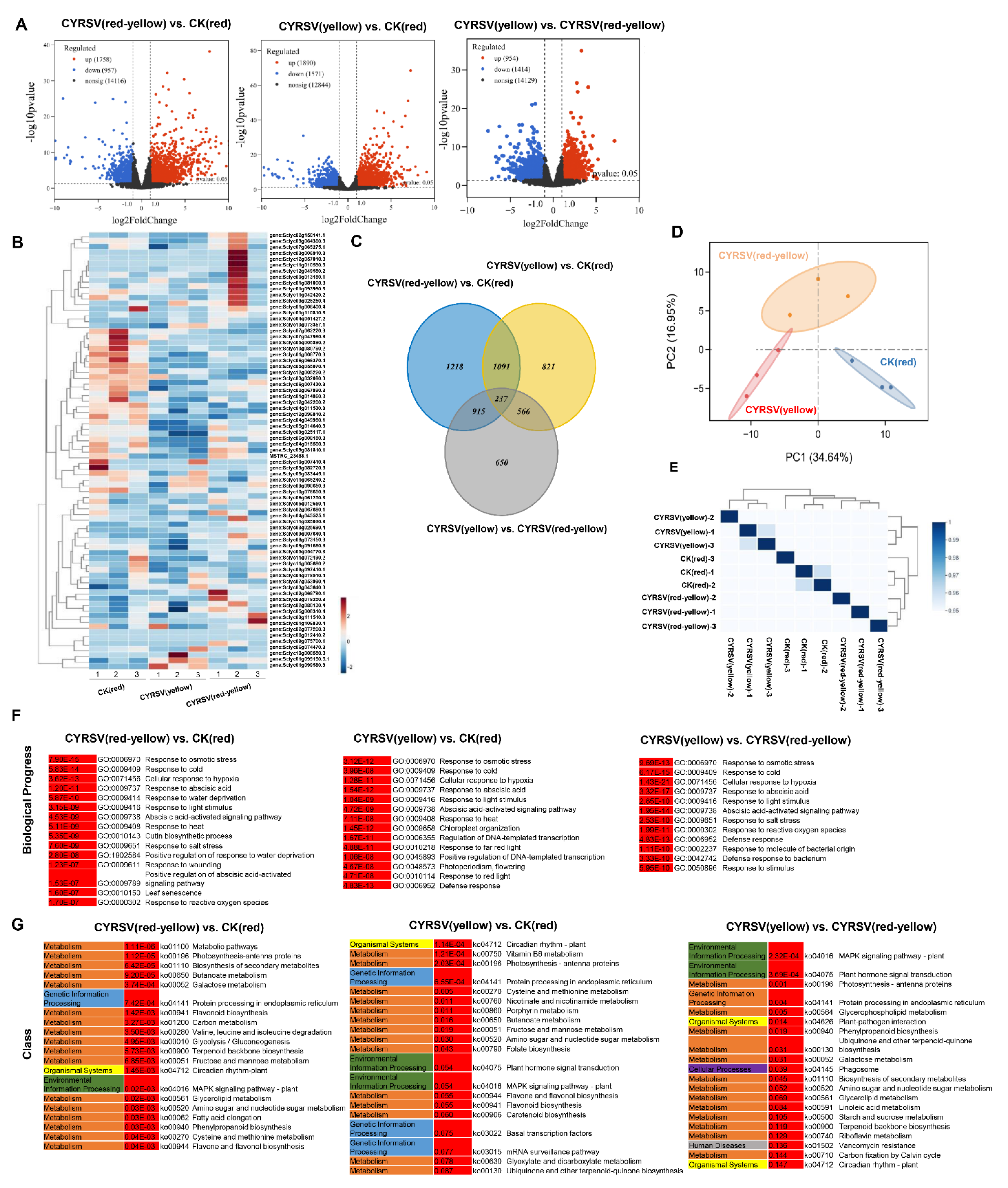 Viruses 17 01426 g005