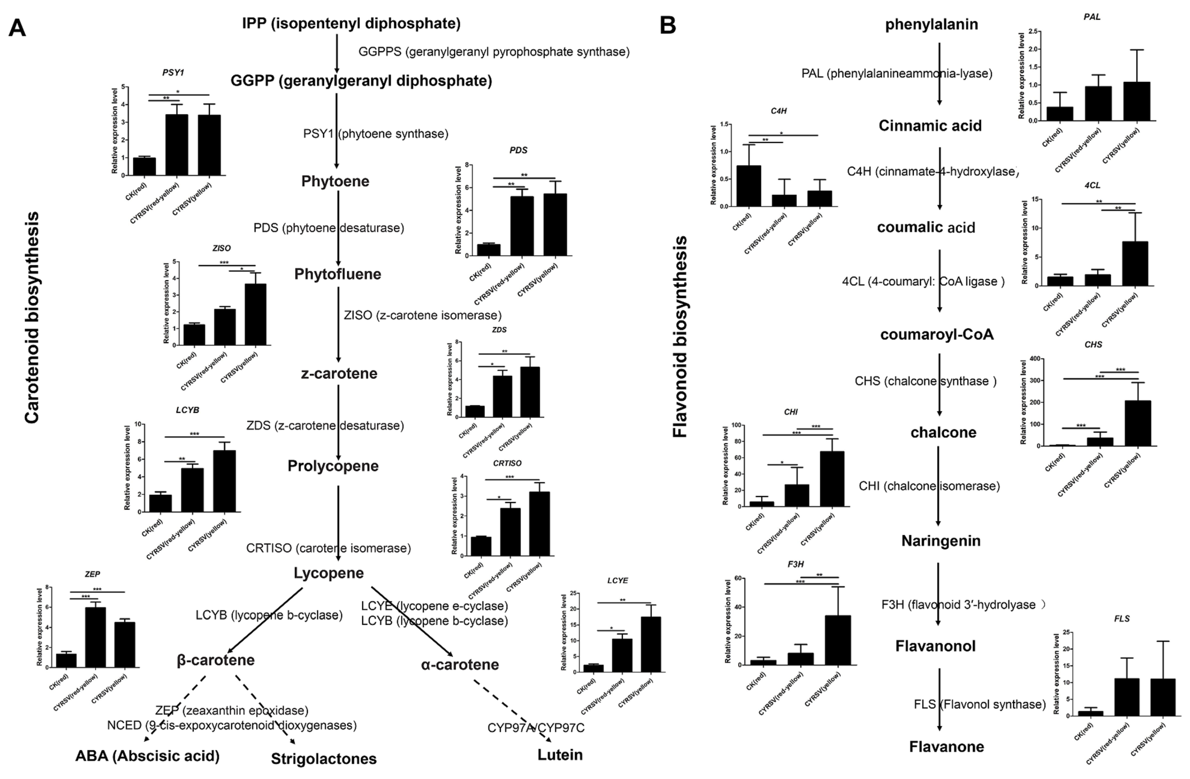 Viruses 17 01426 g006