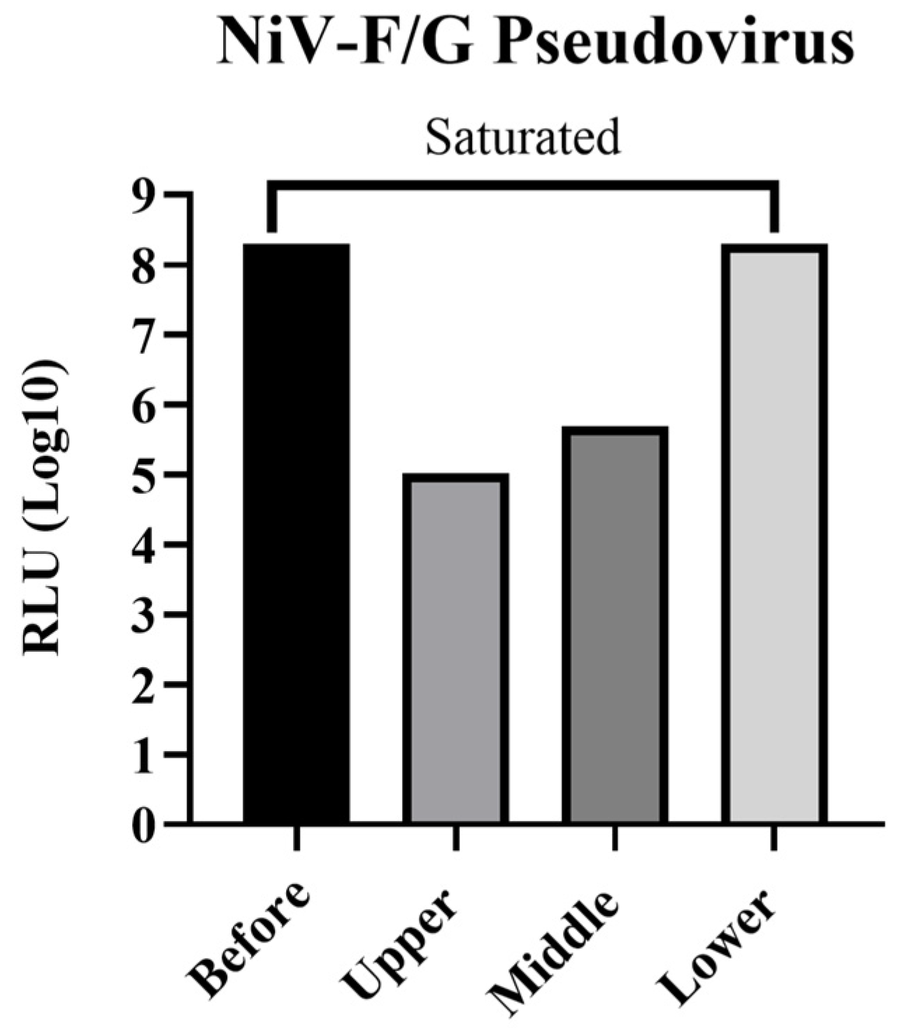 Viruses 17 01429 g002