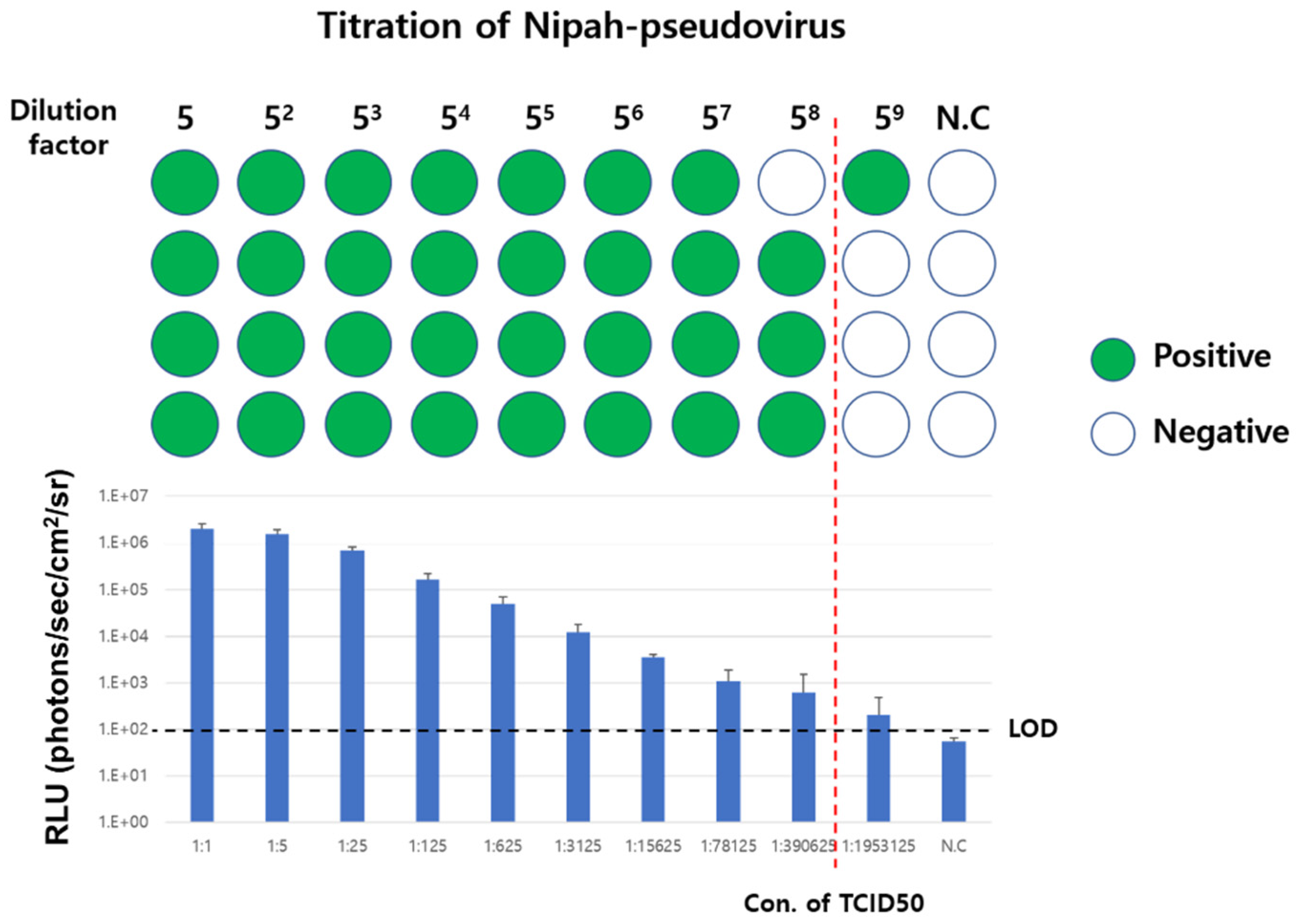Viruses 17 01429 g005
