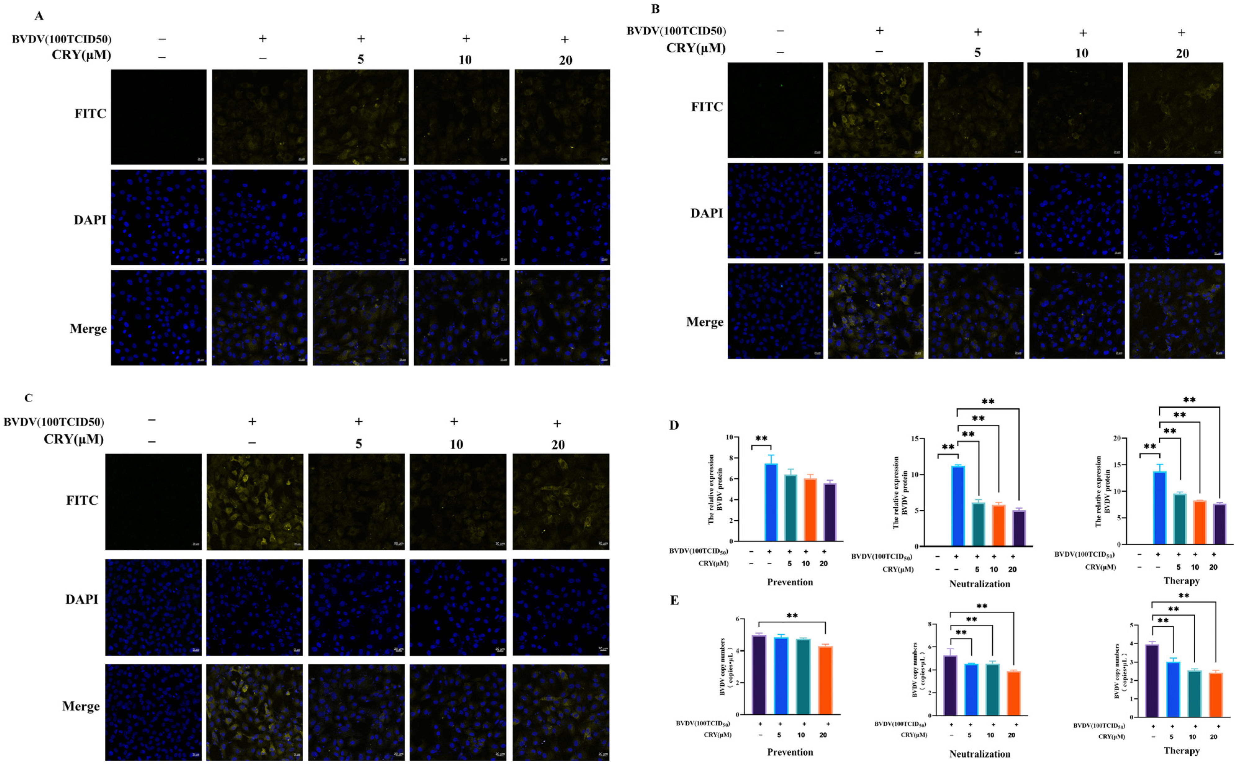Viruses 17 01433 g003 Viruses 17 01433 g003