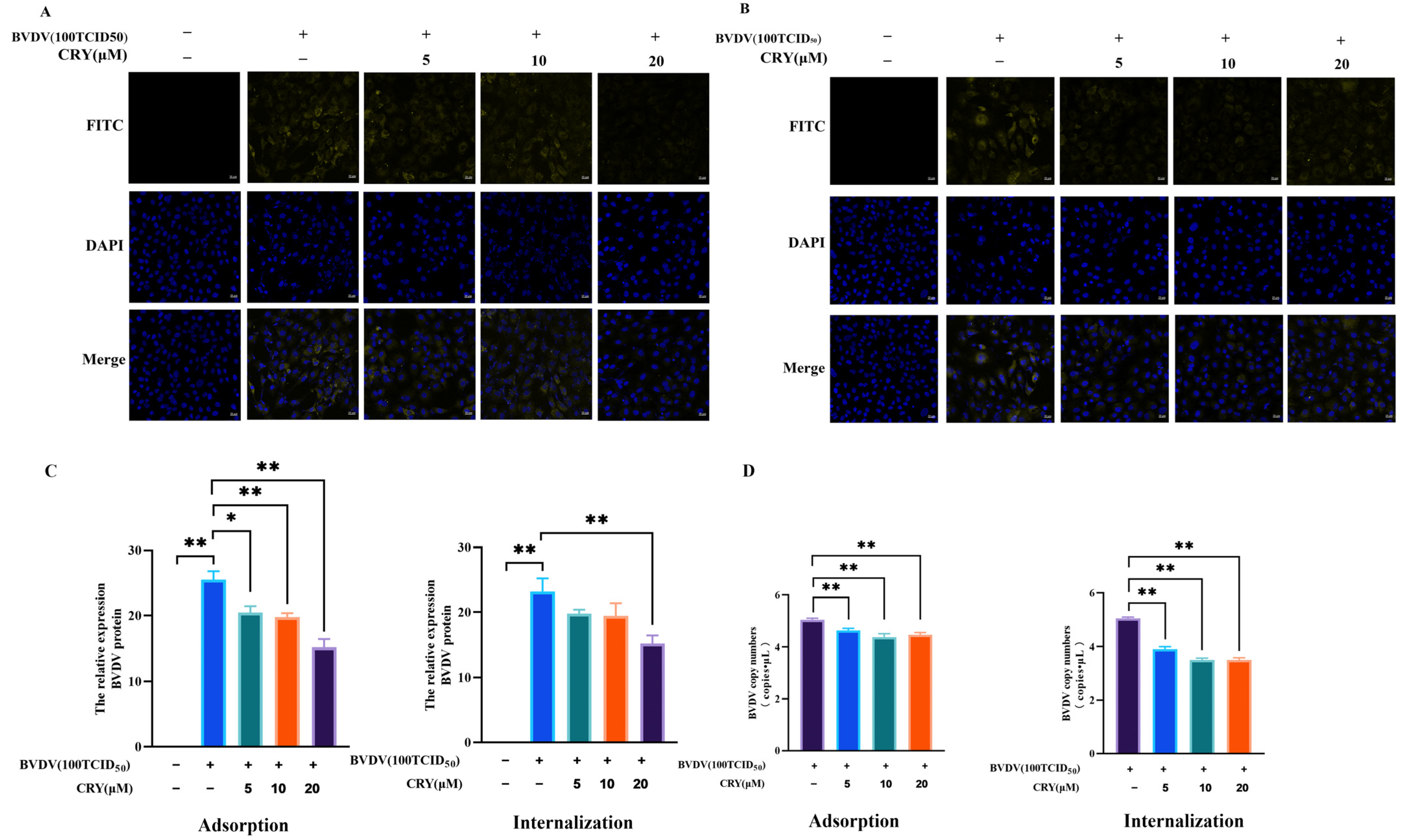 Viruses 17 01433 g004 Viruses 17 01433 g004