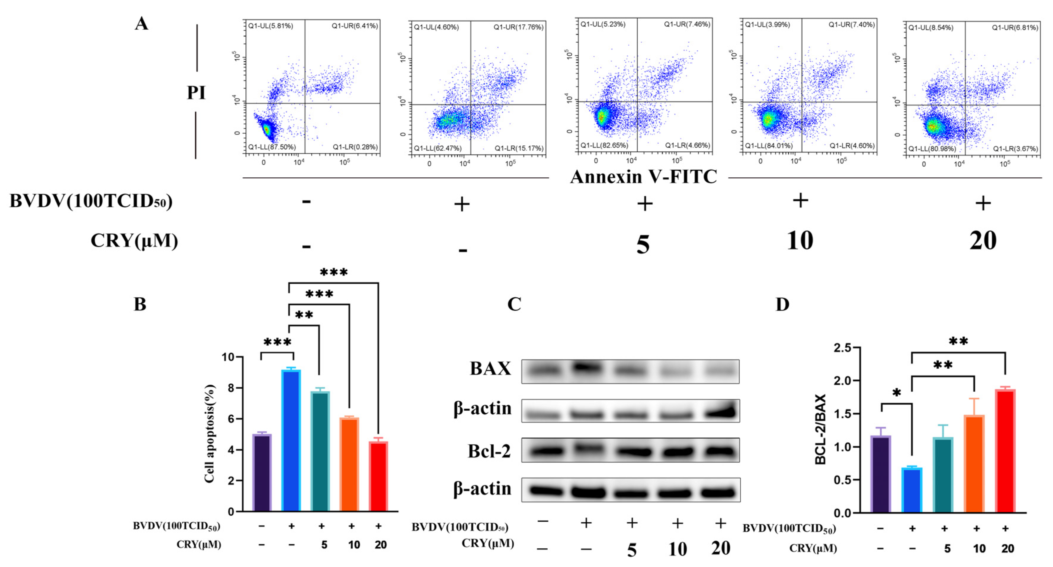 Viruses 17 01433 g007 Viruses 17 01433 g007