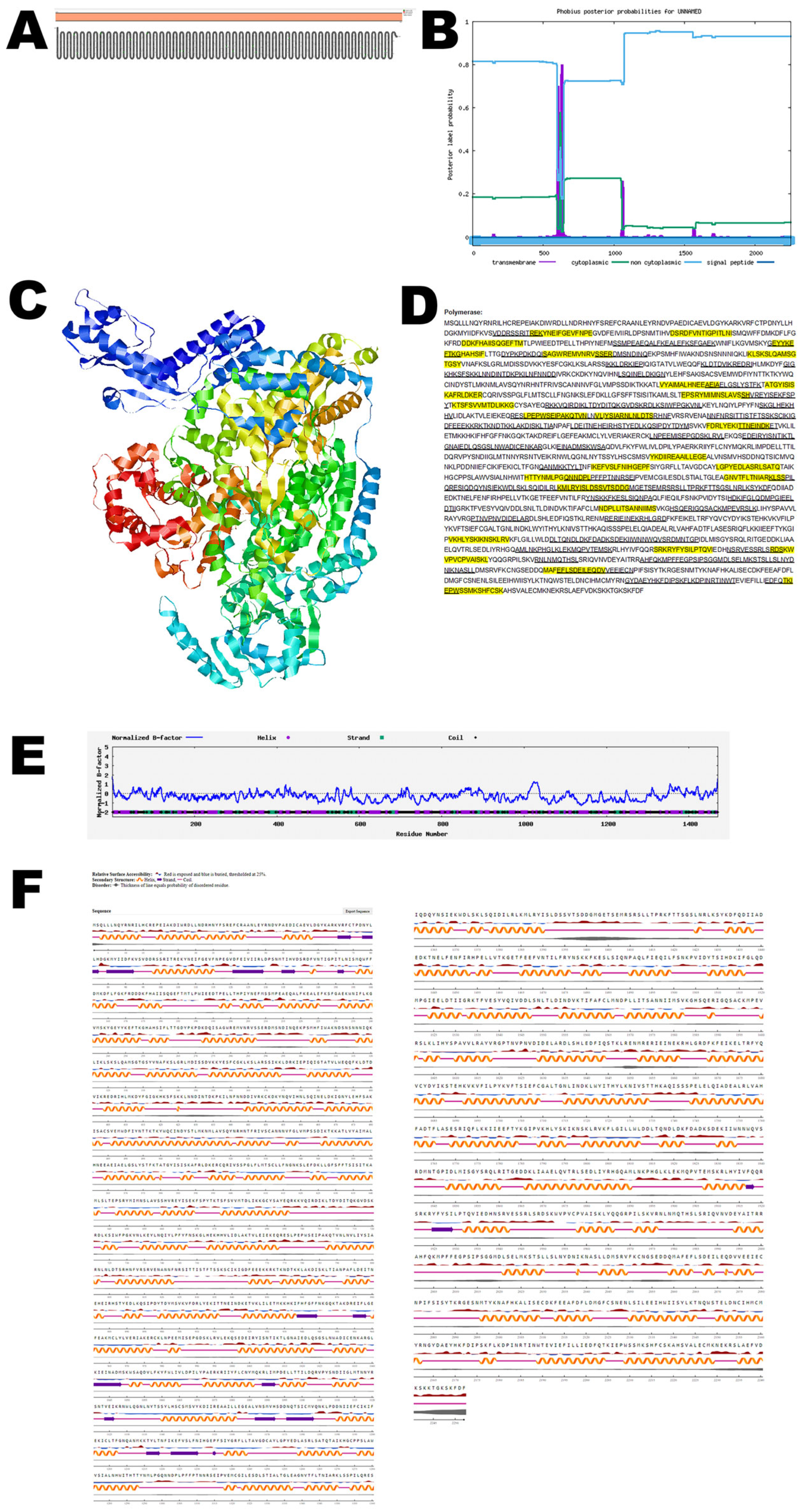 Viruses 17 01434 g006 Viruses 17 01434 g006