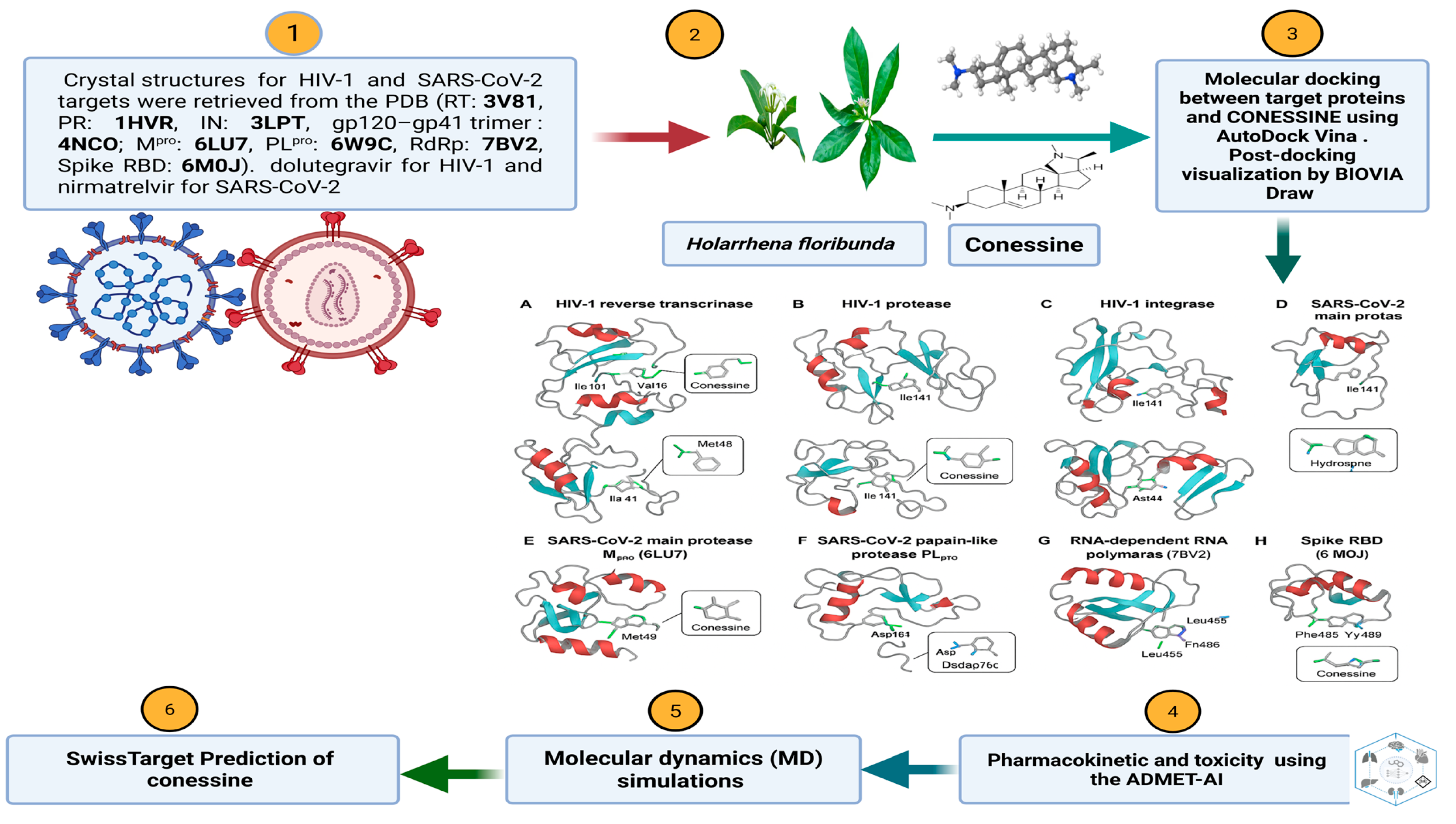 Viruses 17 01435 g001