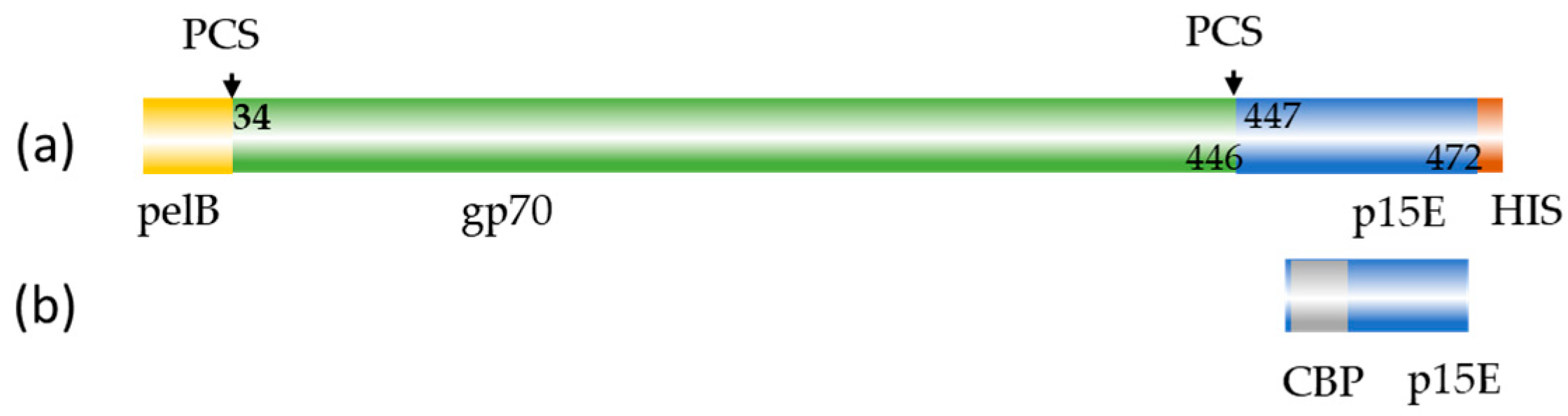 Viruses 17 01437 g001 Viruses 17 01437 g001