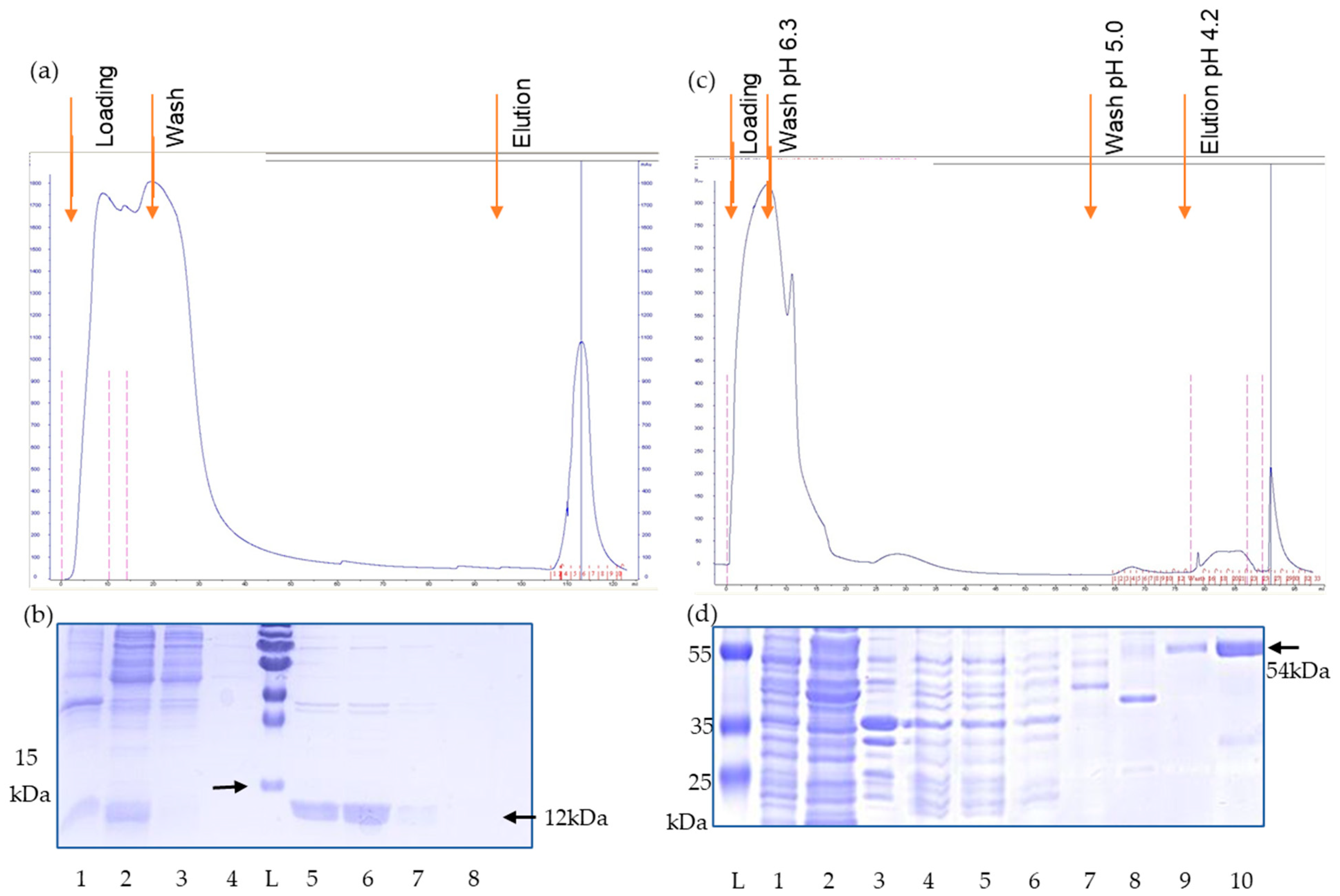 Viruses 17 01437 g002 Viruses 17 01437 g002