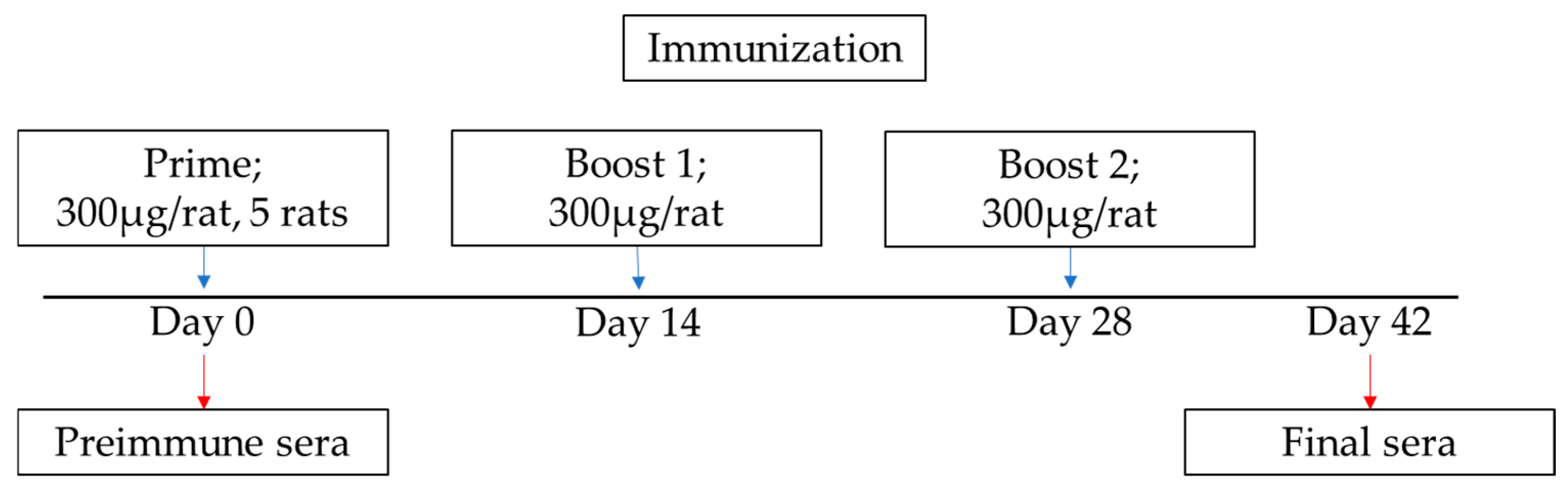 Viruses 17 01437 g004 Viruses 17 01437 g004